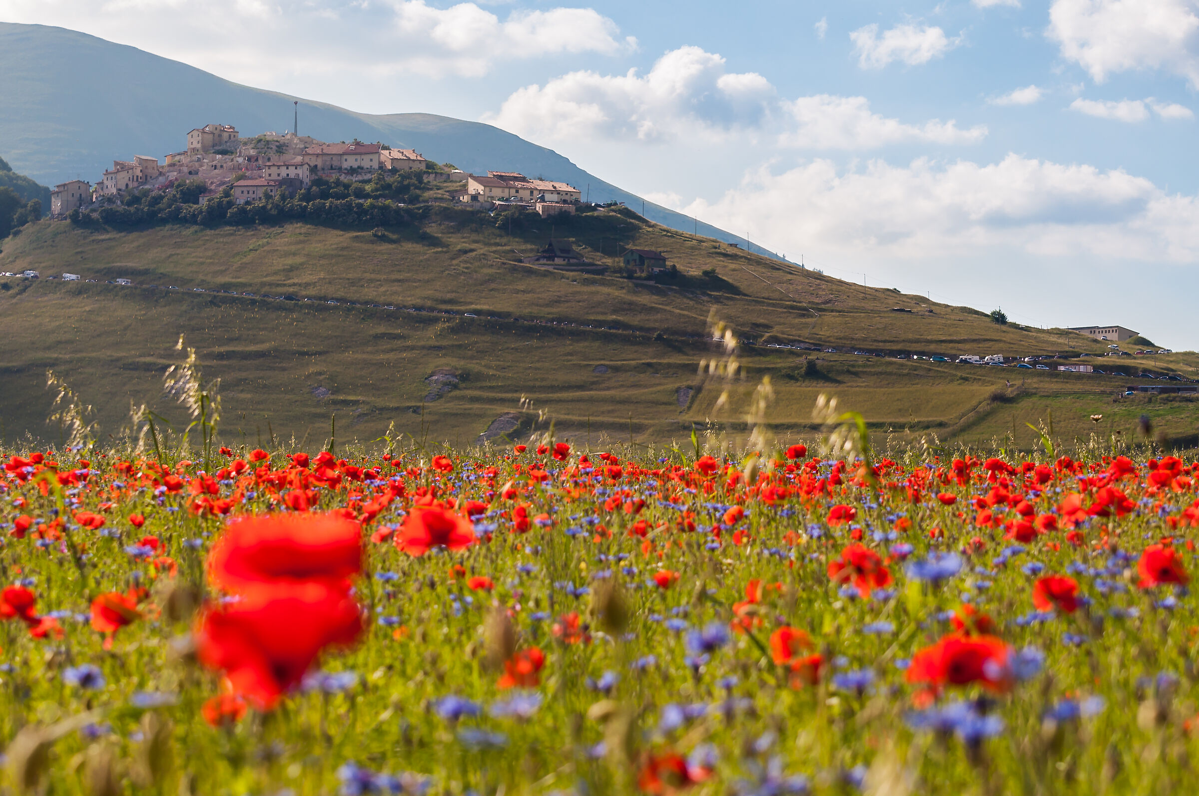 la forza di rialzarsi...sempre!