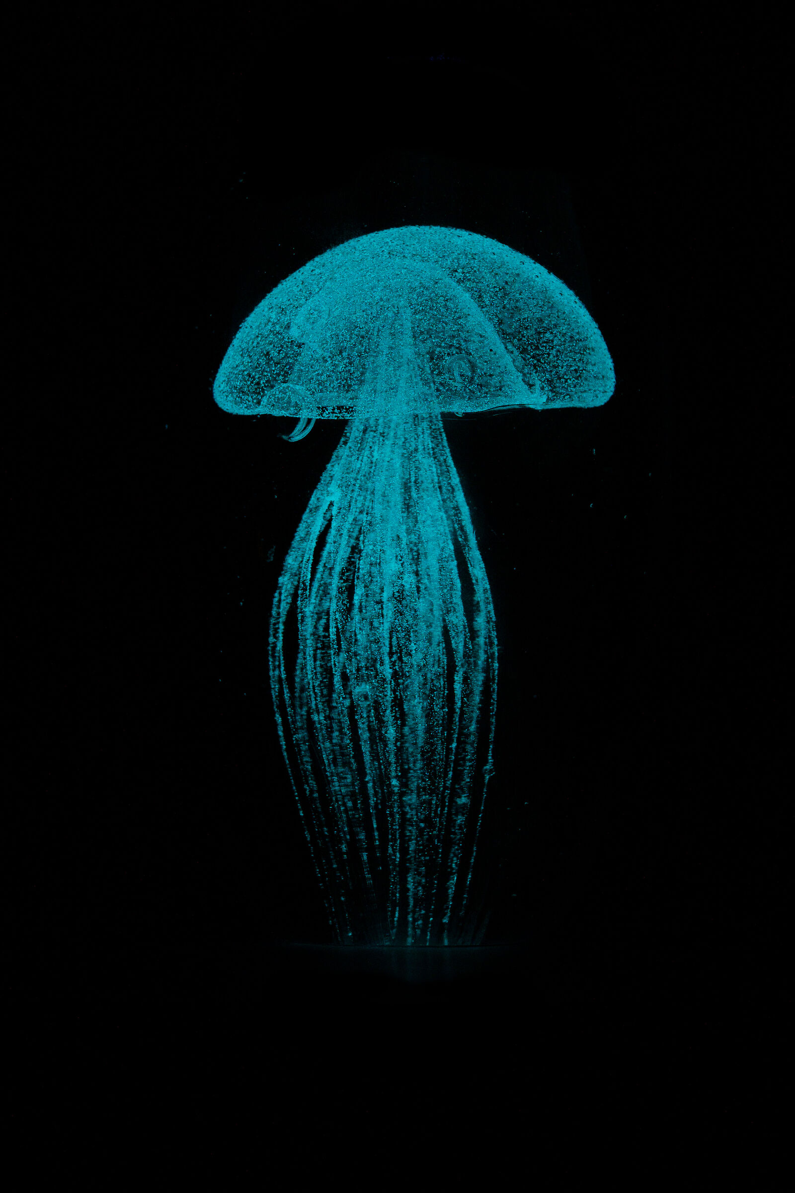 Medusa cristallizzata