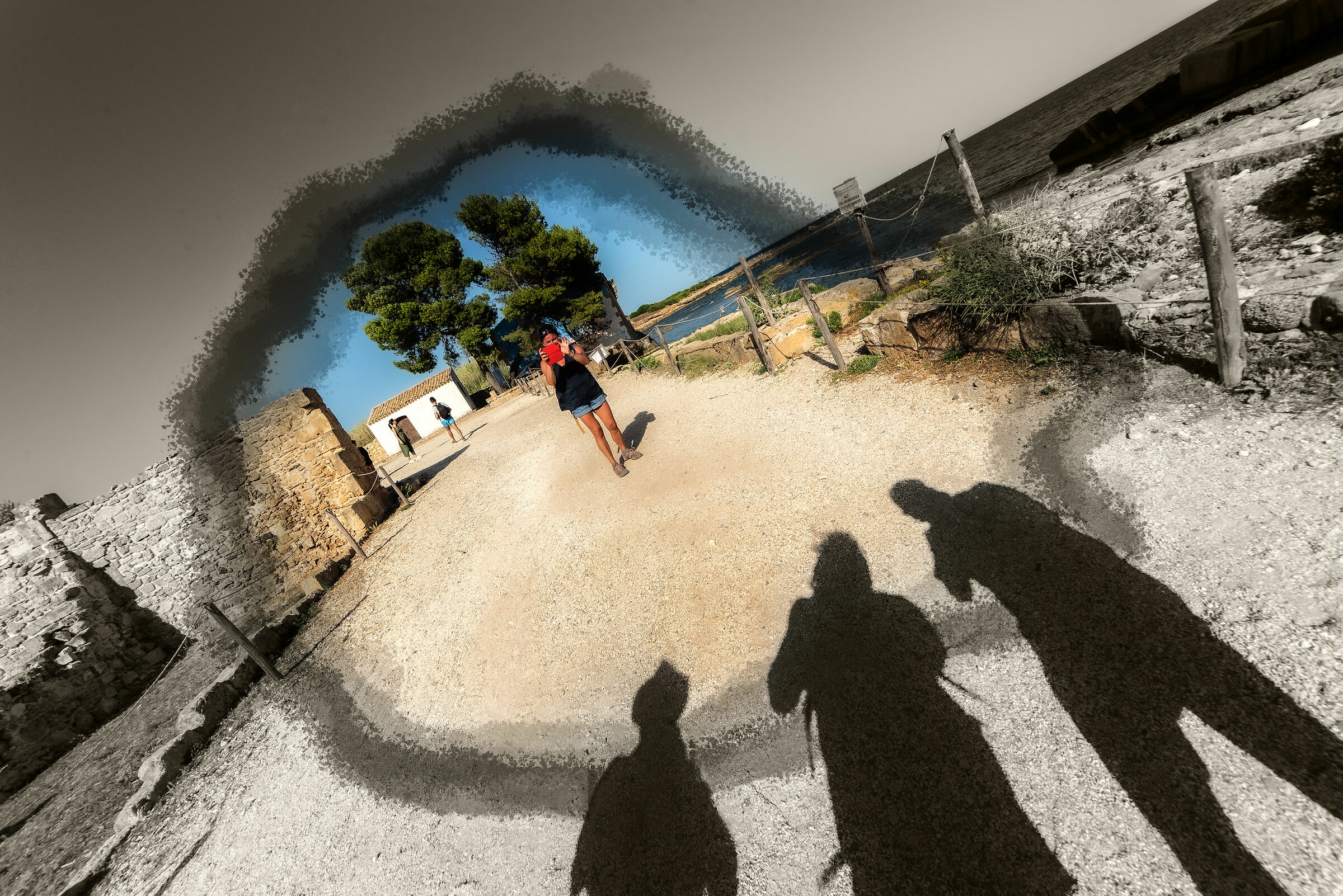 Phone VS 3 Reflex (@) Versatilita' Vs Profeassionalita'