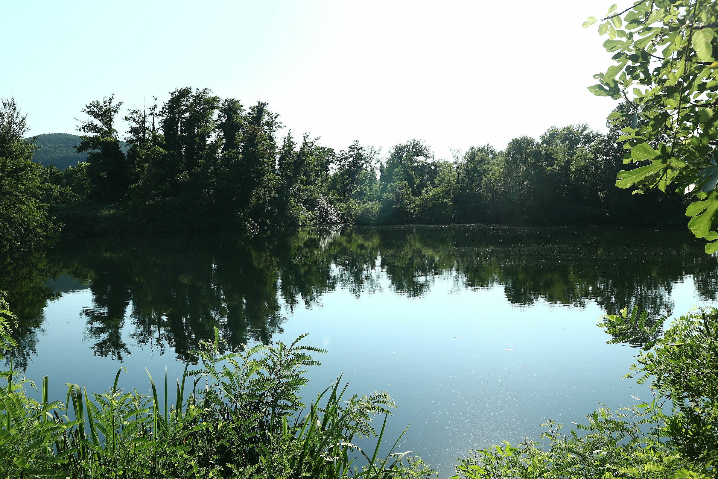 passeggiando per i Bozi di Saudino