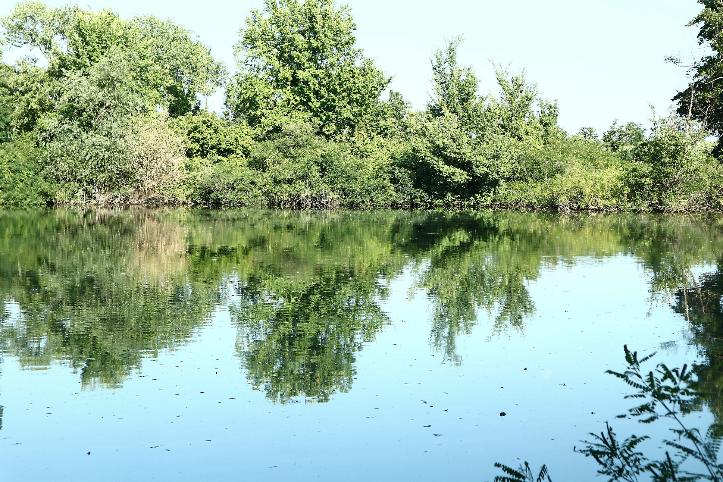 passeggiando per i Bozi di Saudino