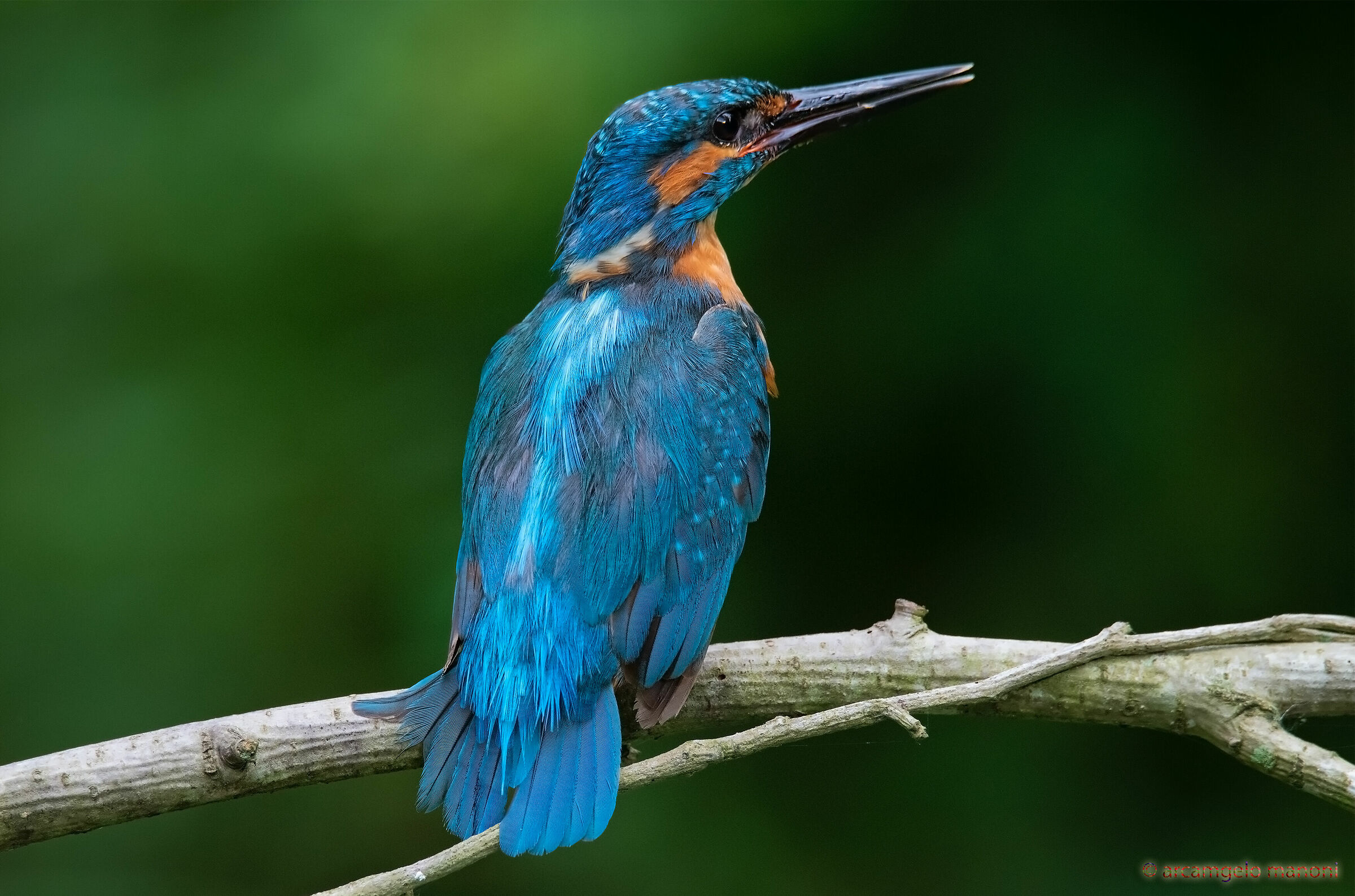 The Master of the River