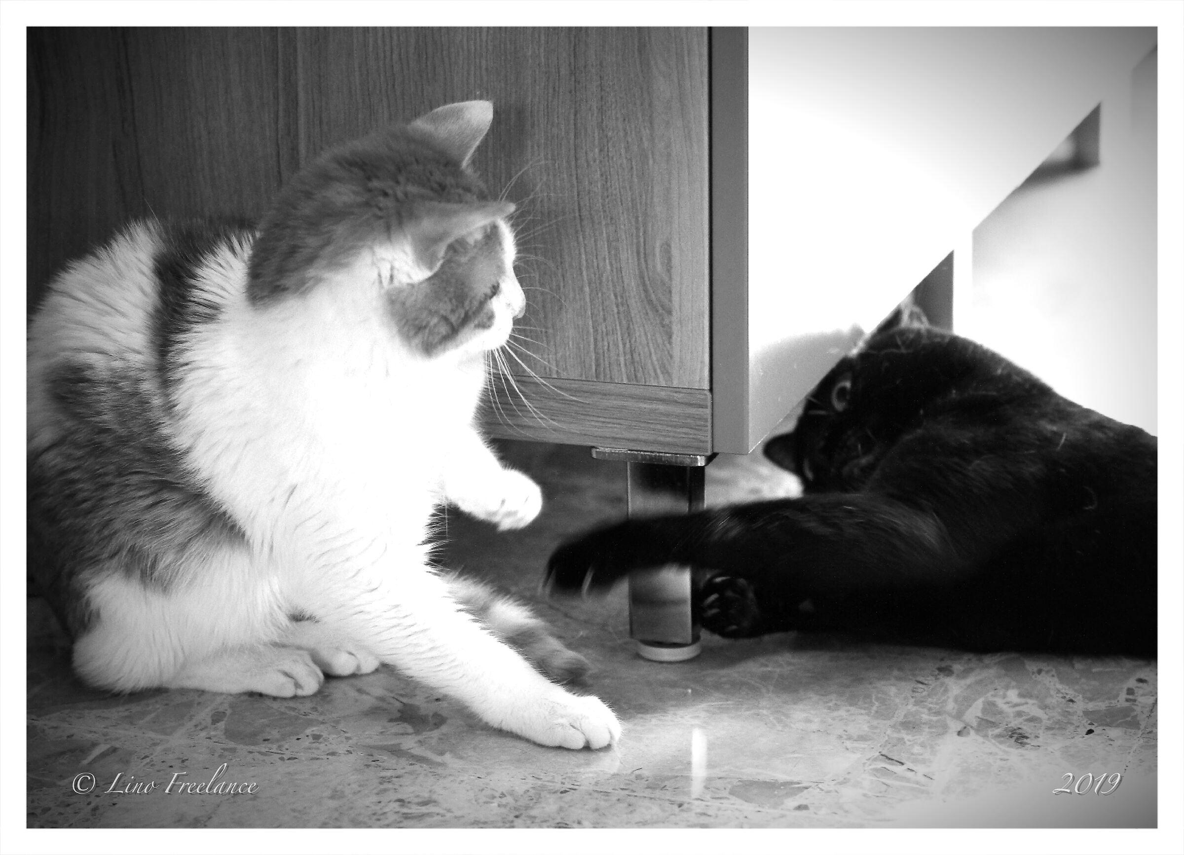 "...non mi prendi..."