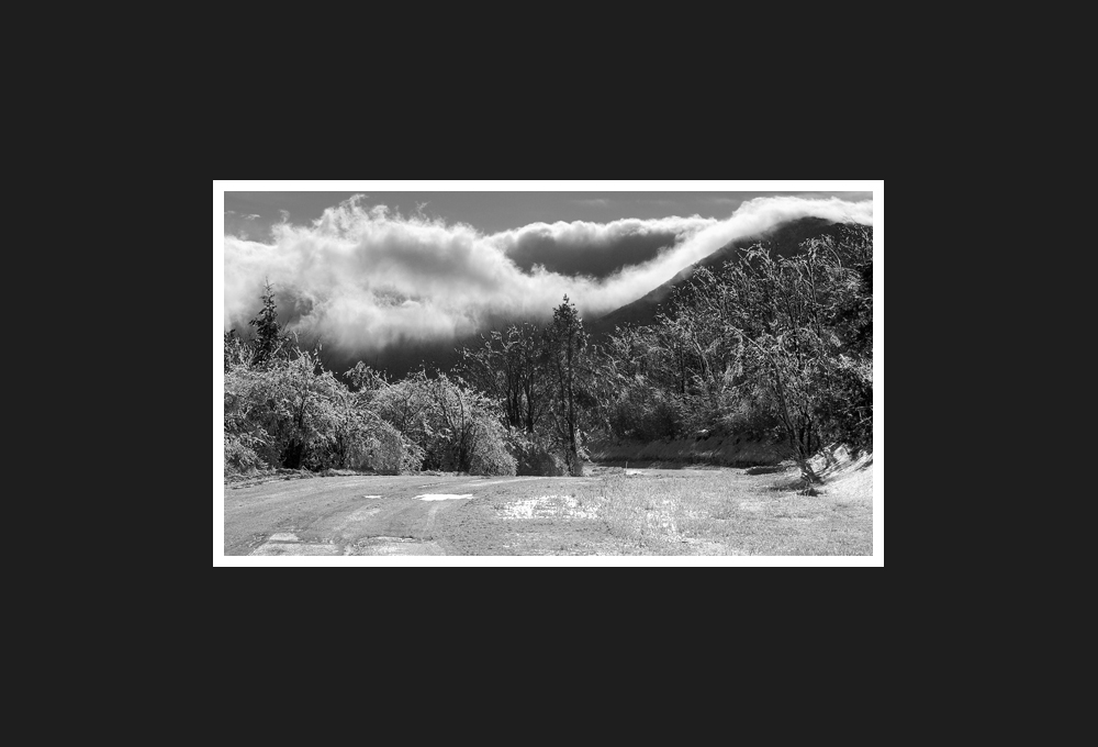 The Cloud Looking At You, 2012