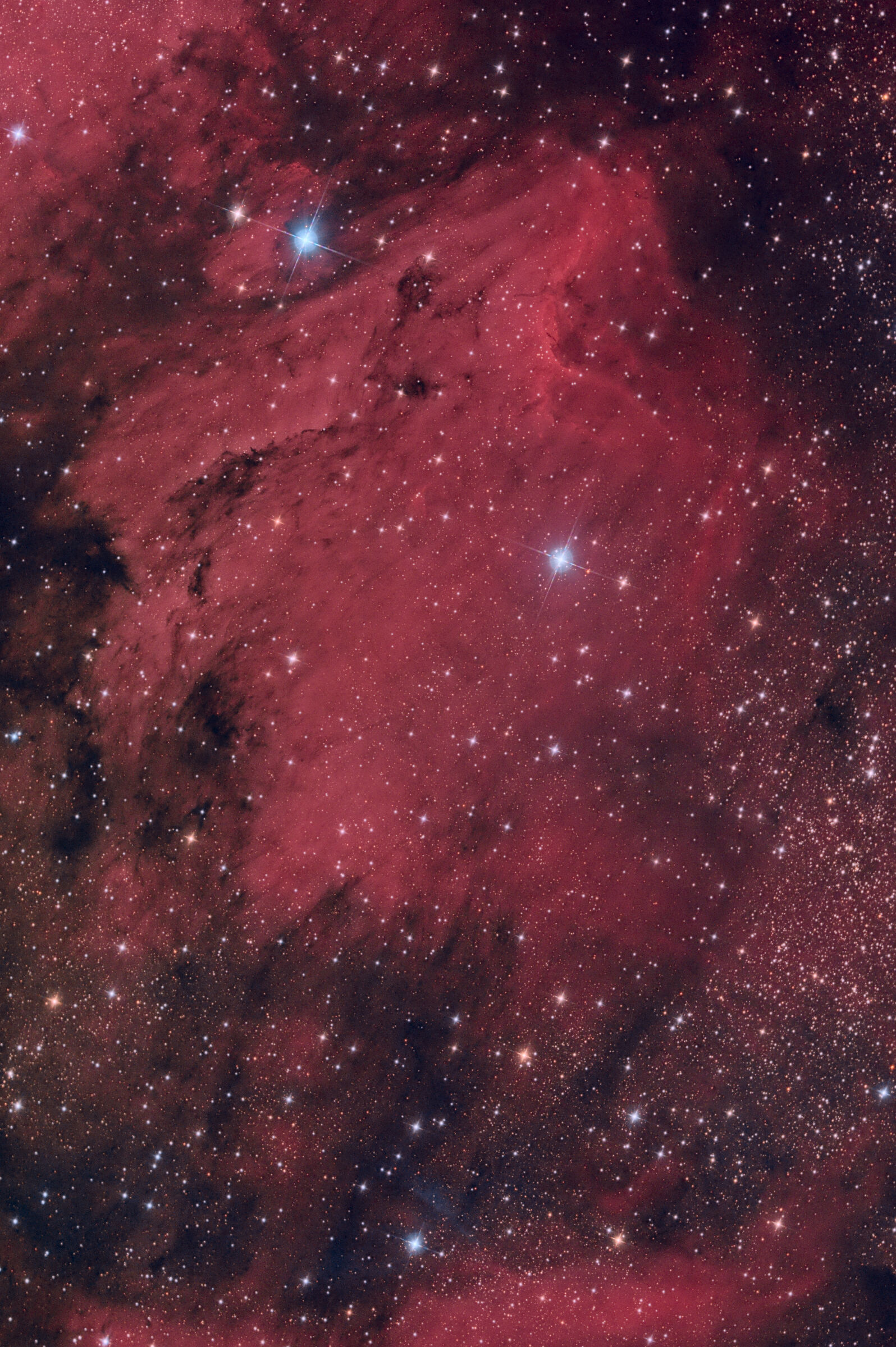 Pelican Nebula