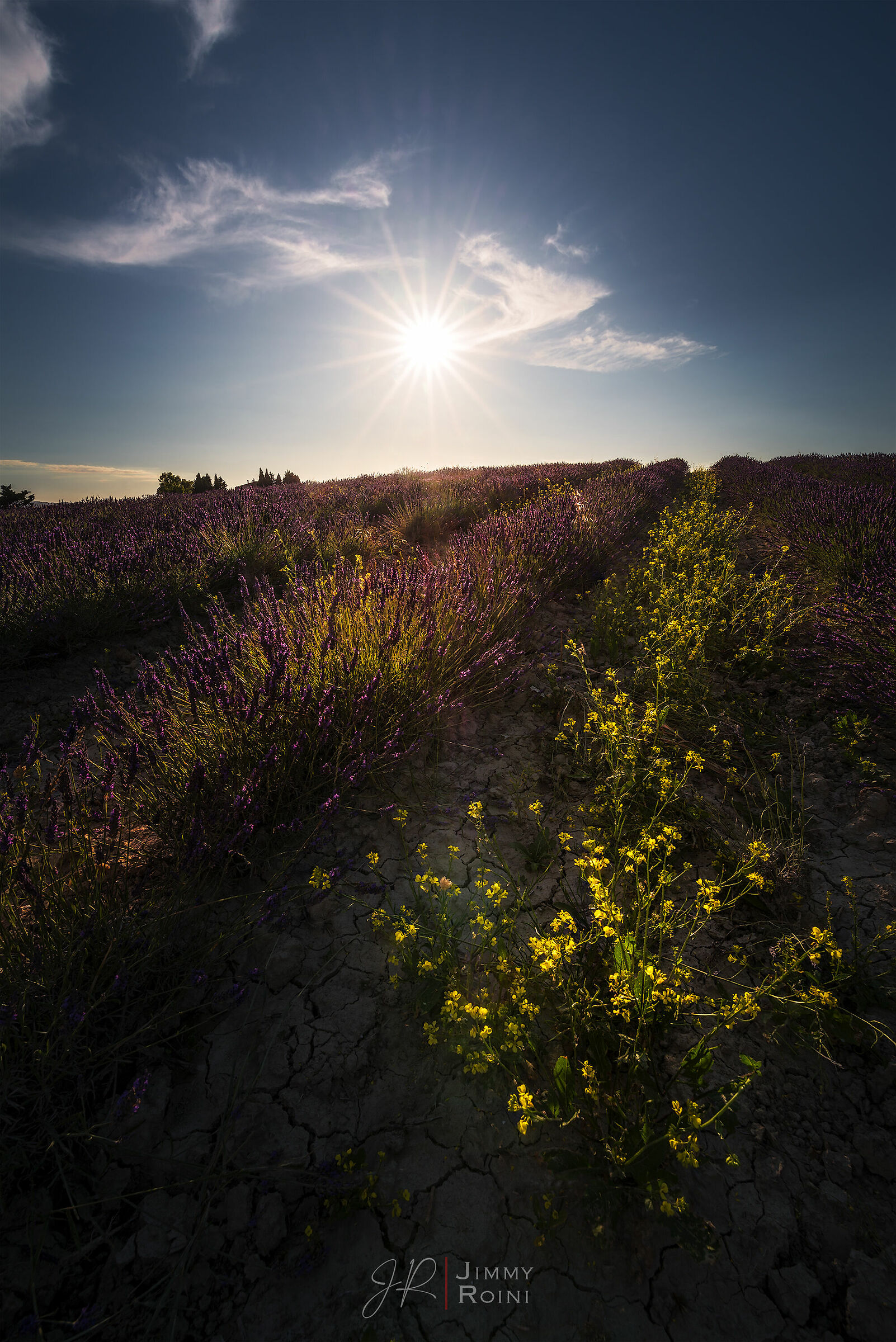 Tuscany and its fields
