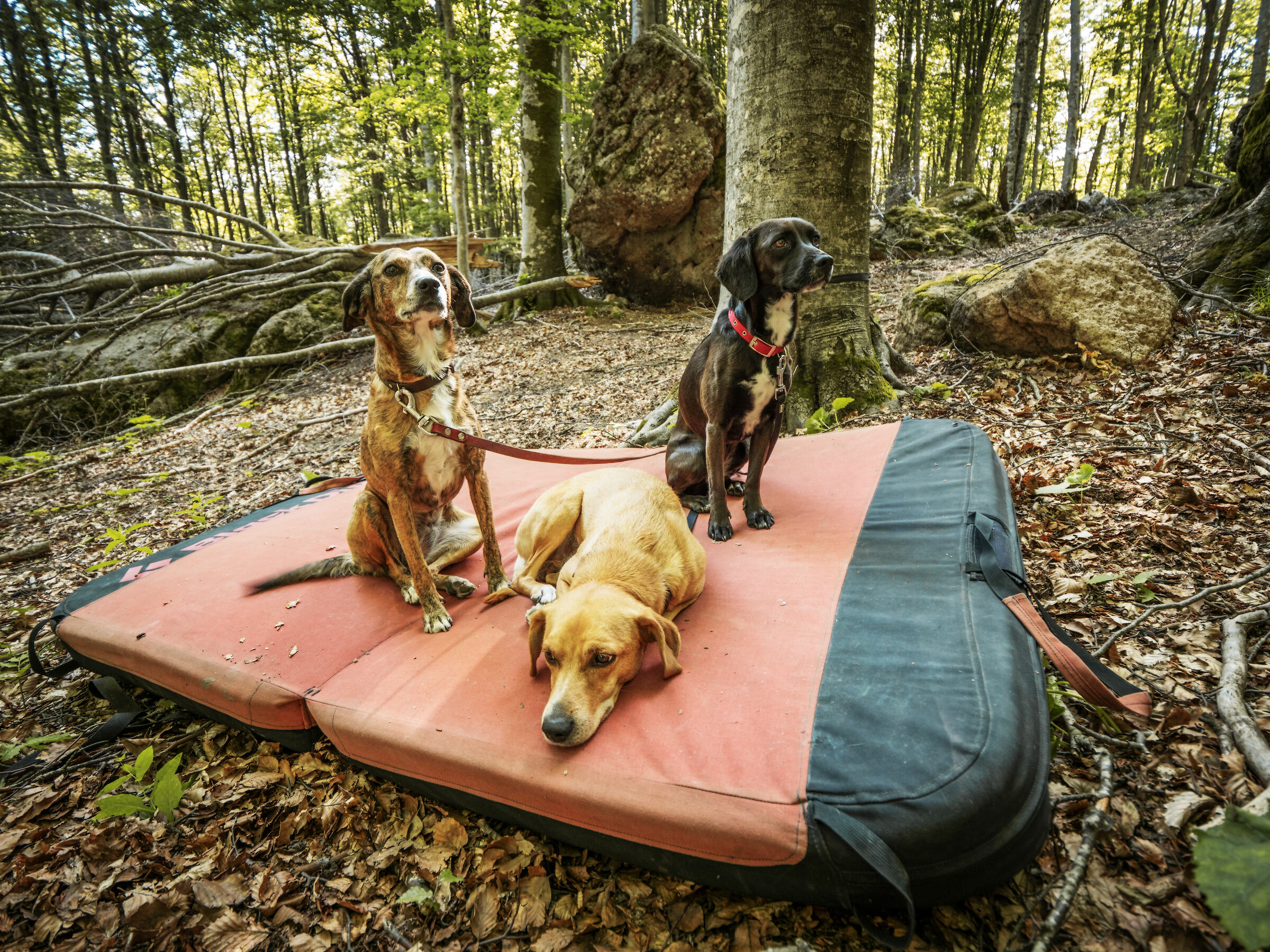 The Three of the Hail Mary