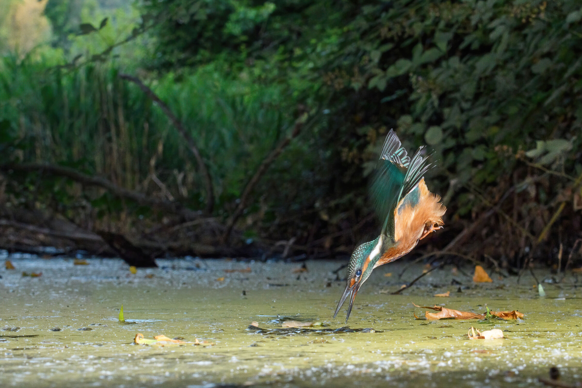 Spostati che arrivo ...