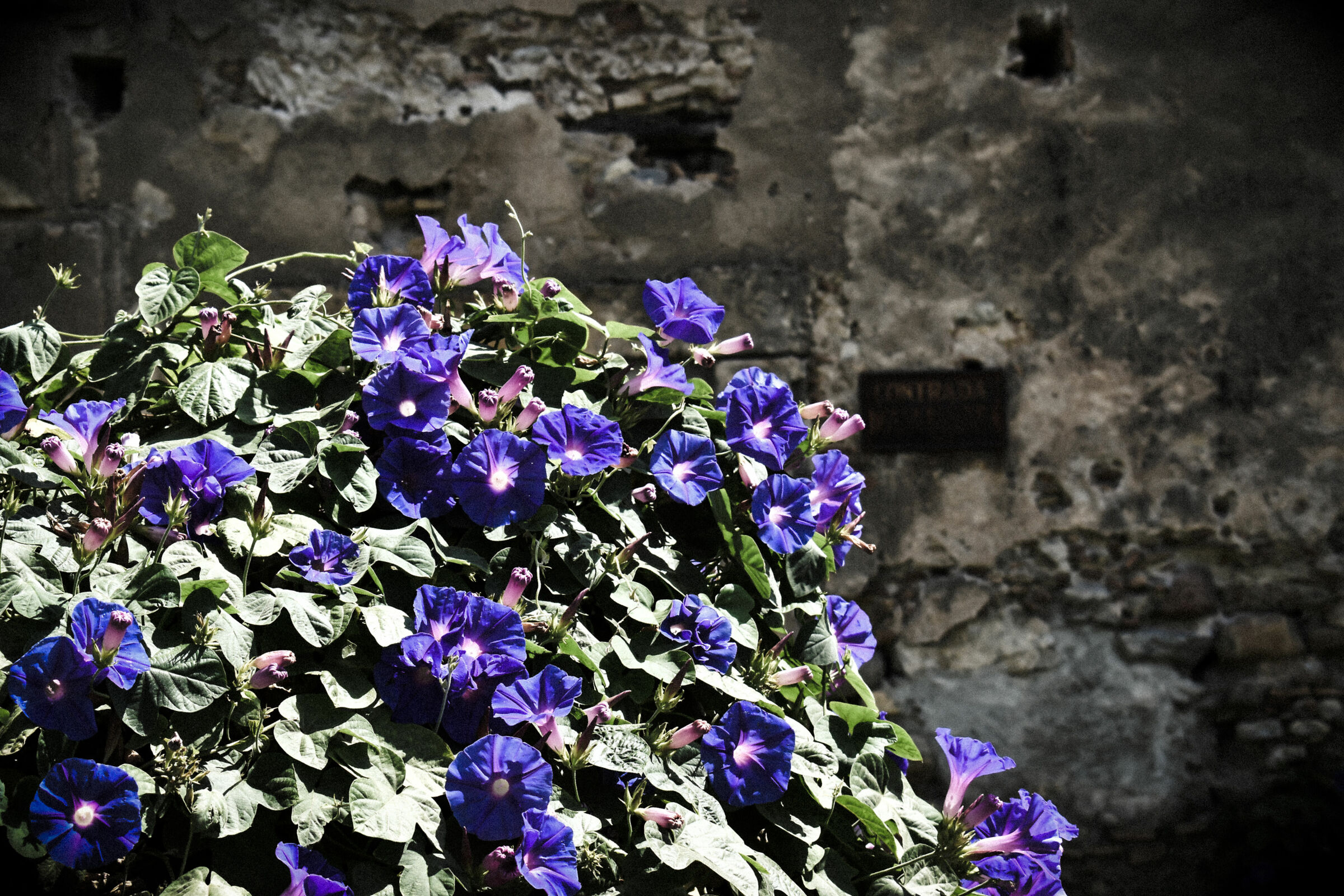 Untitled Photo