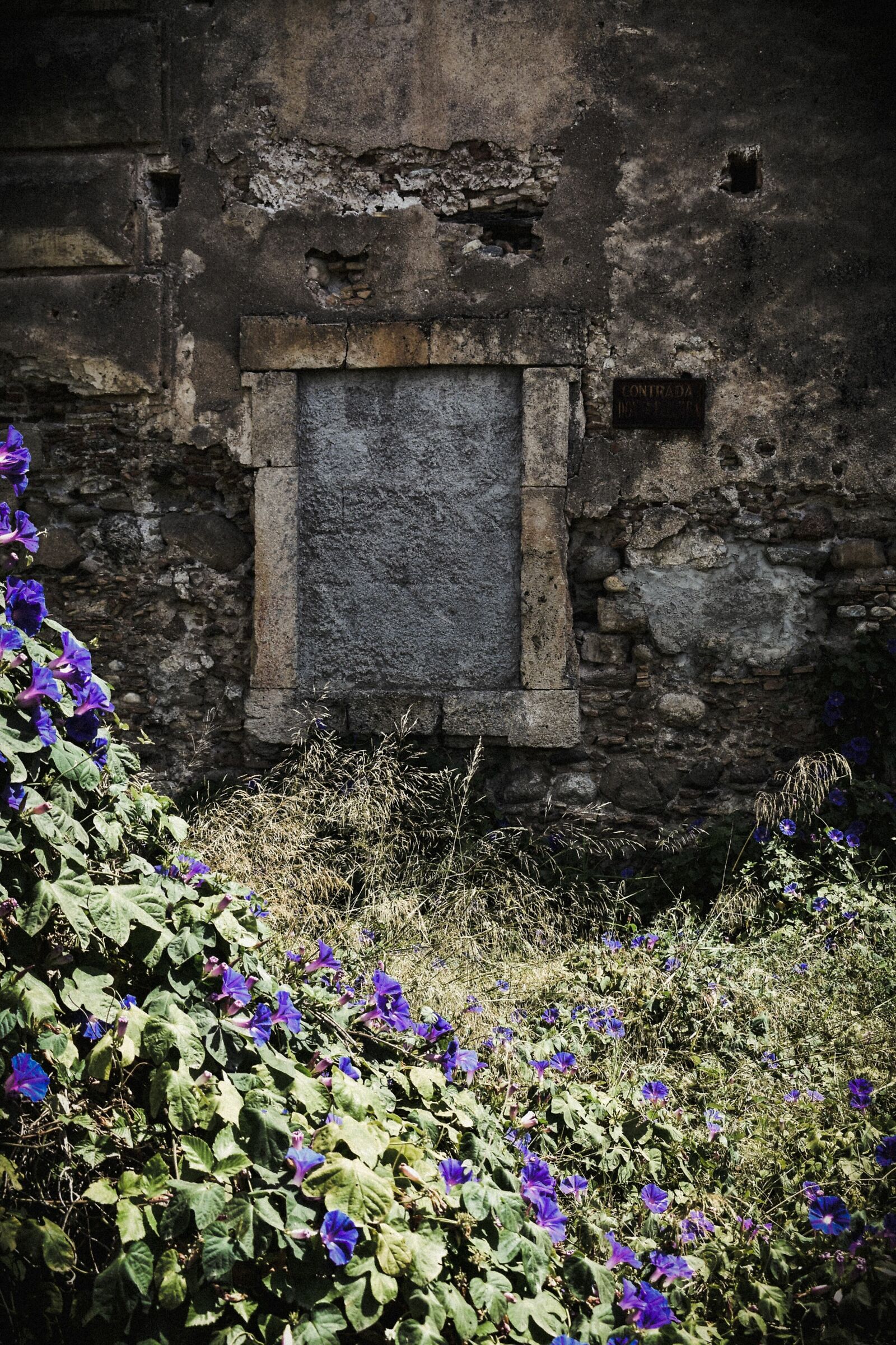 Untitled Photo