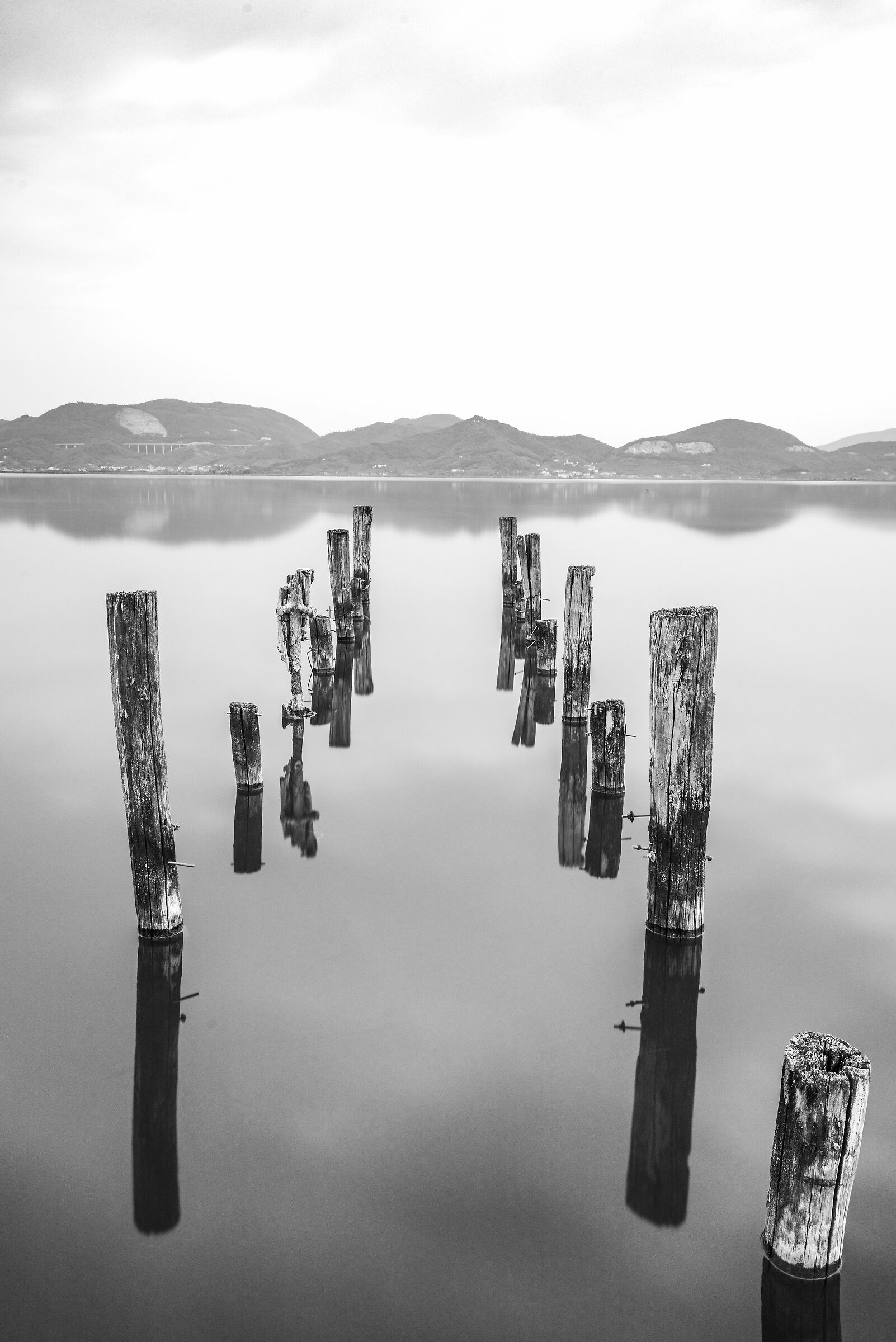 Lake Puccini Tower Lake Massaciuccoli