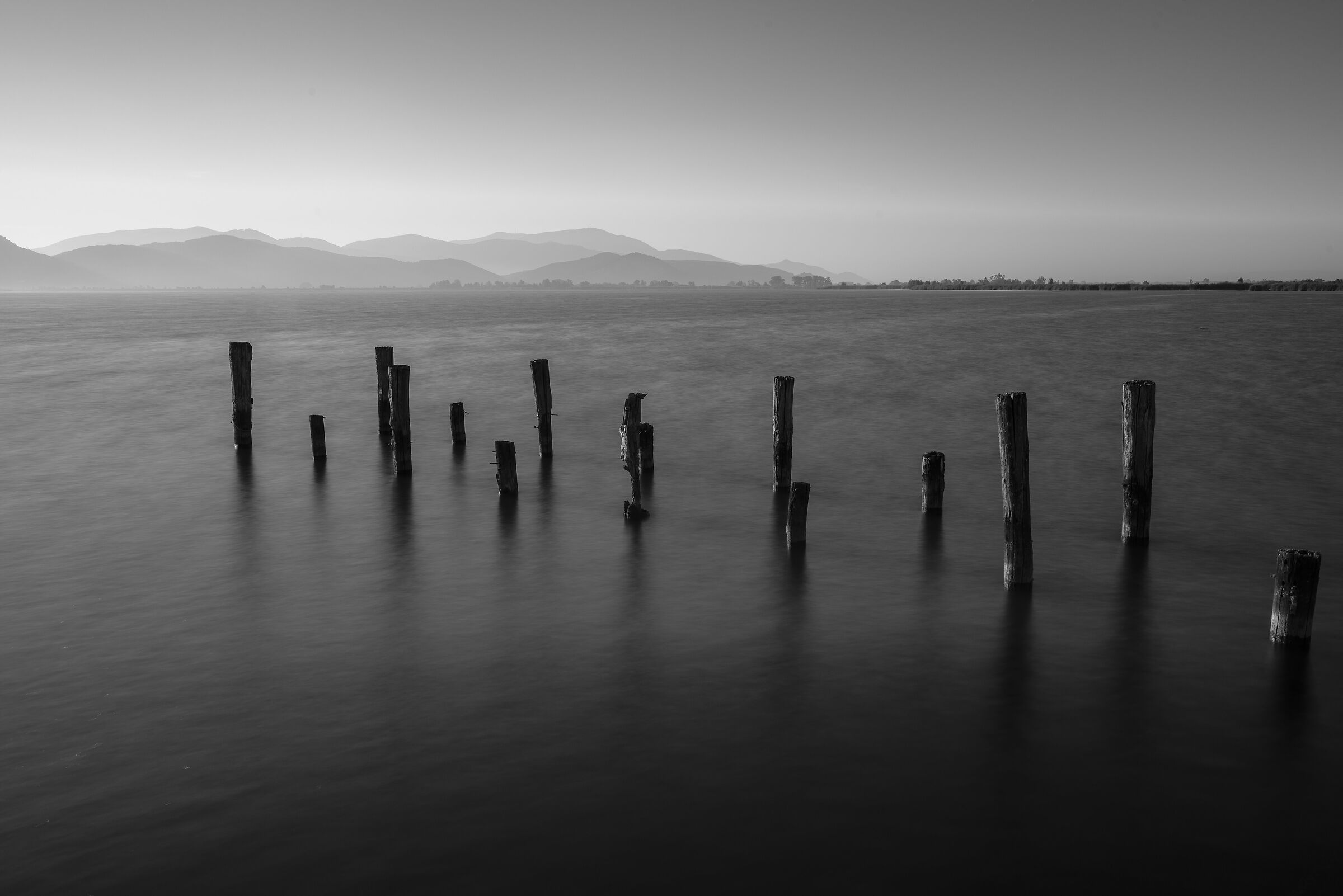 Lake Puccini Tower Lake Massaciuccoli