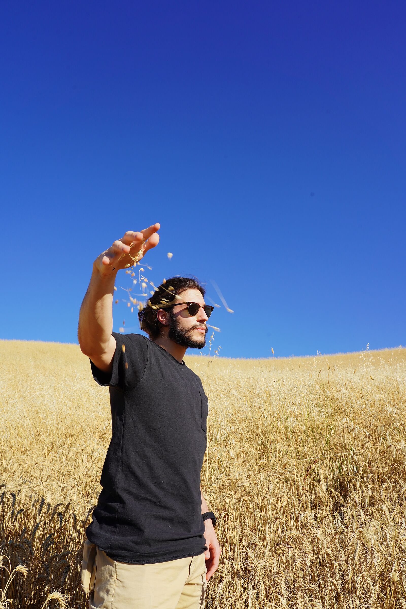 matteo in the wheat