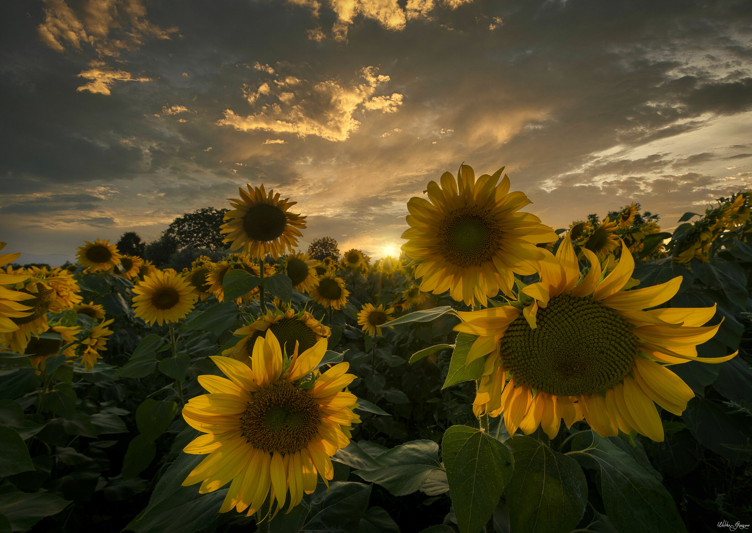 Turn your back to the sun forever