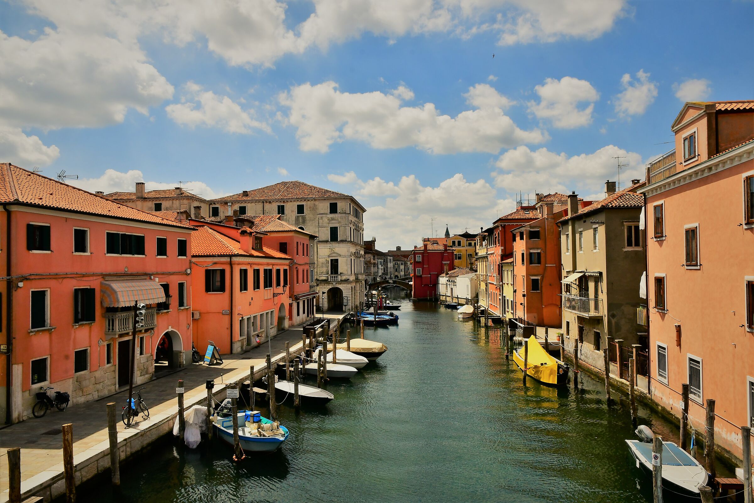 chioggia