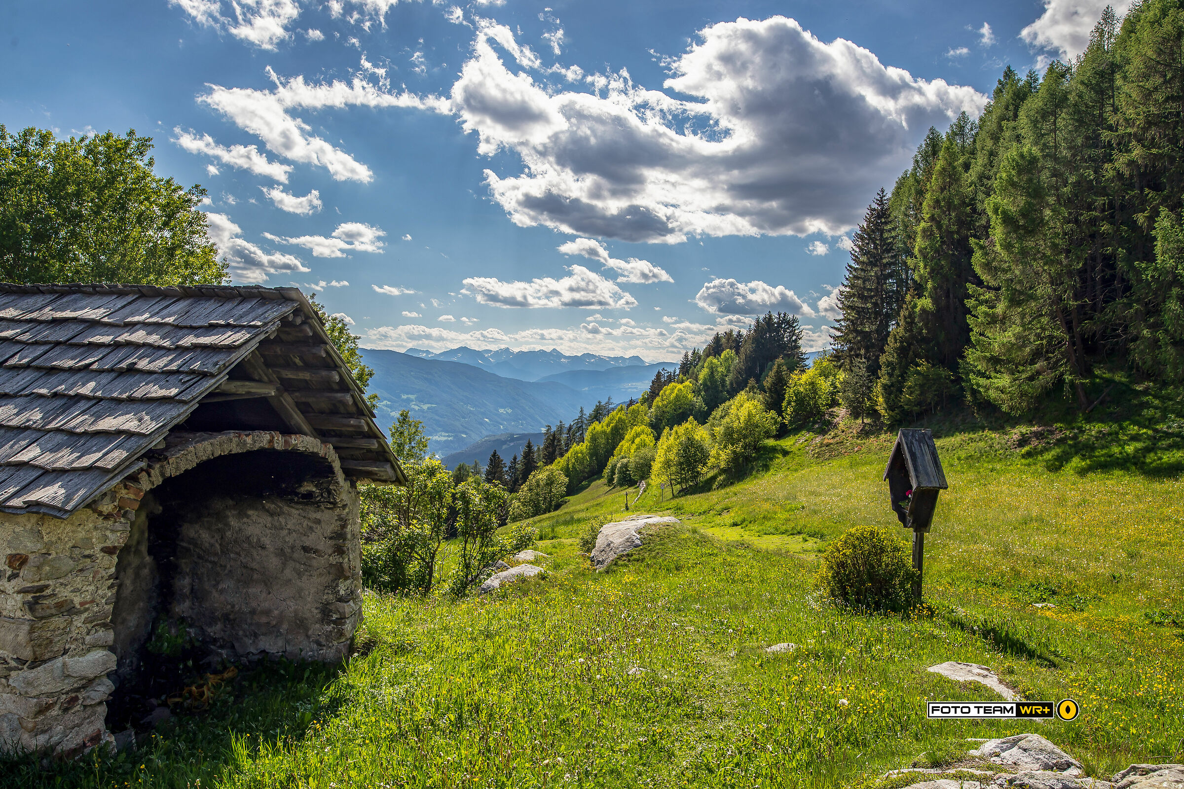 "Kofler am Kofl" - Falzes - South Tyrol