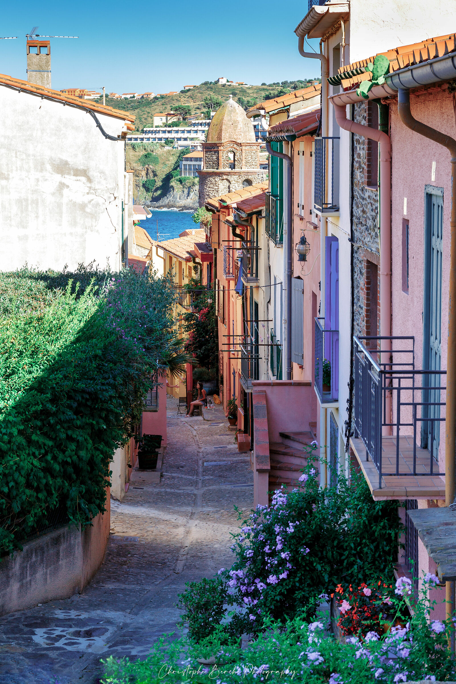 Collioure ( France )
