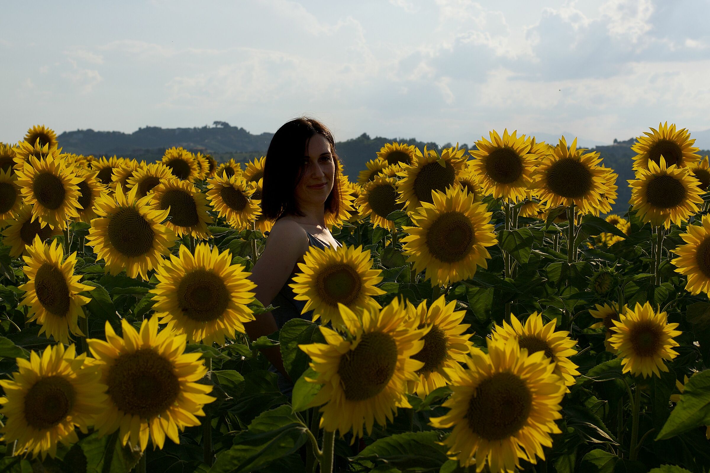A sun among the sunflowers
