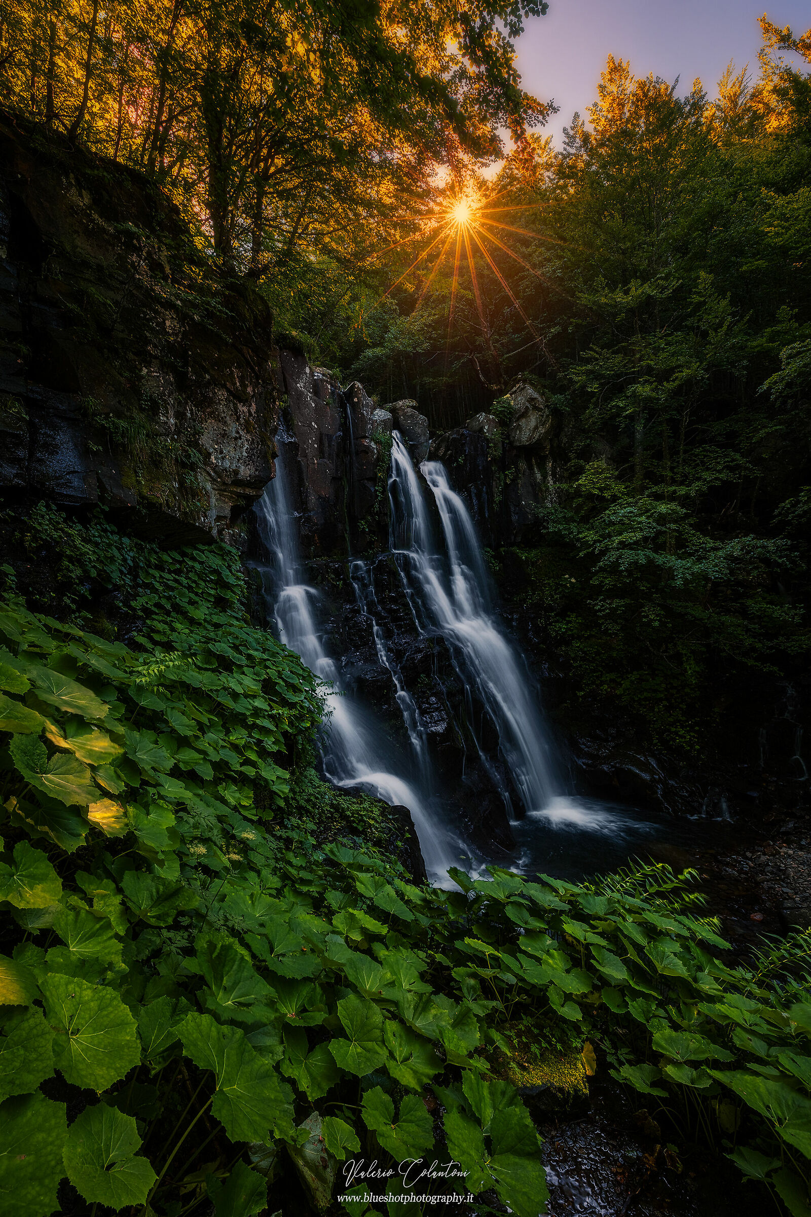 Dardagna summer version...