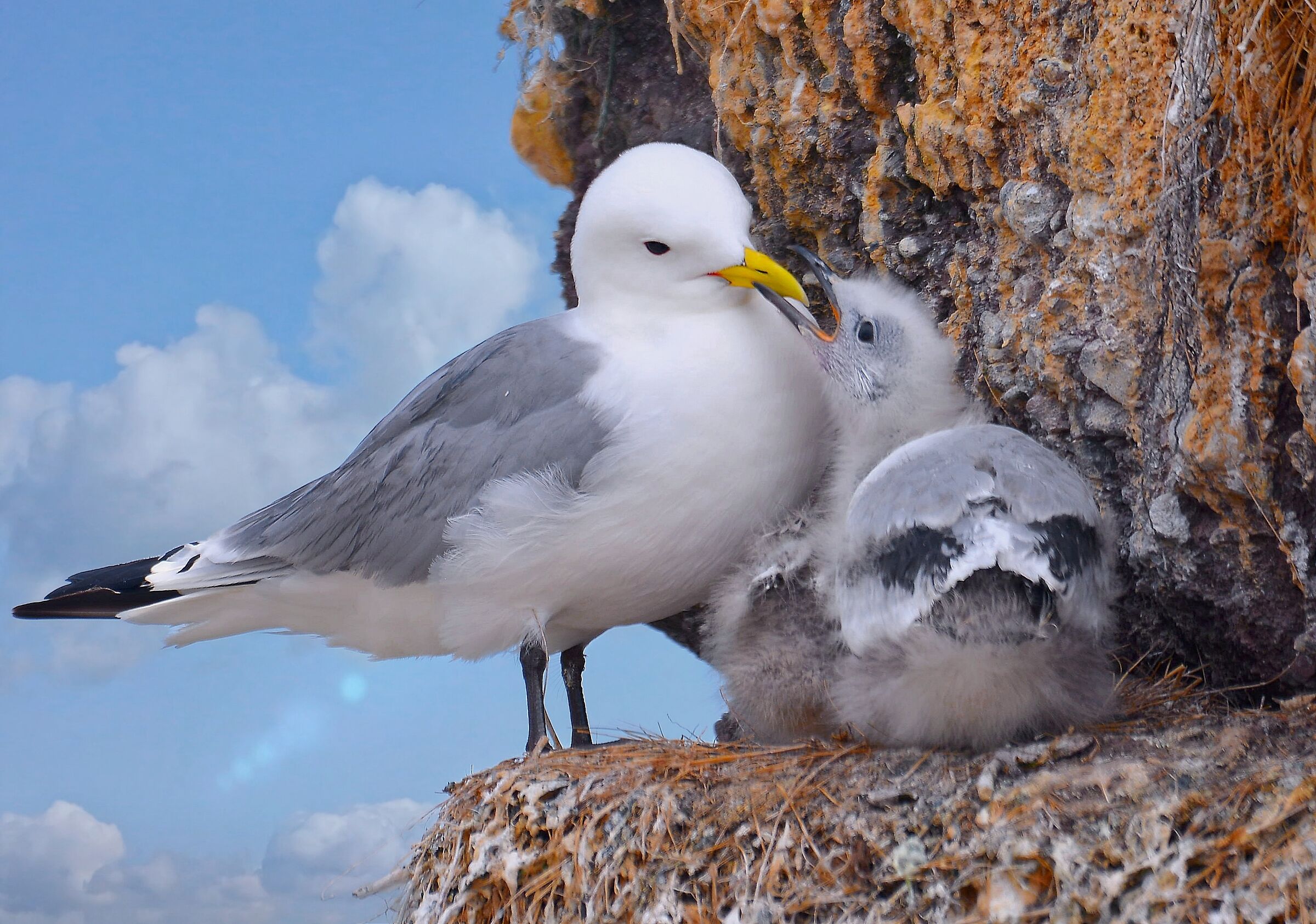 Takin' care of baby.