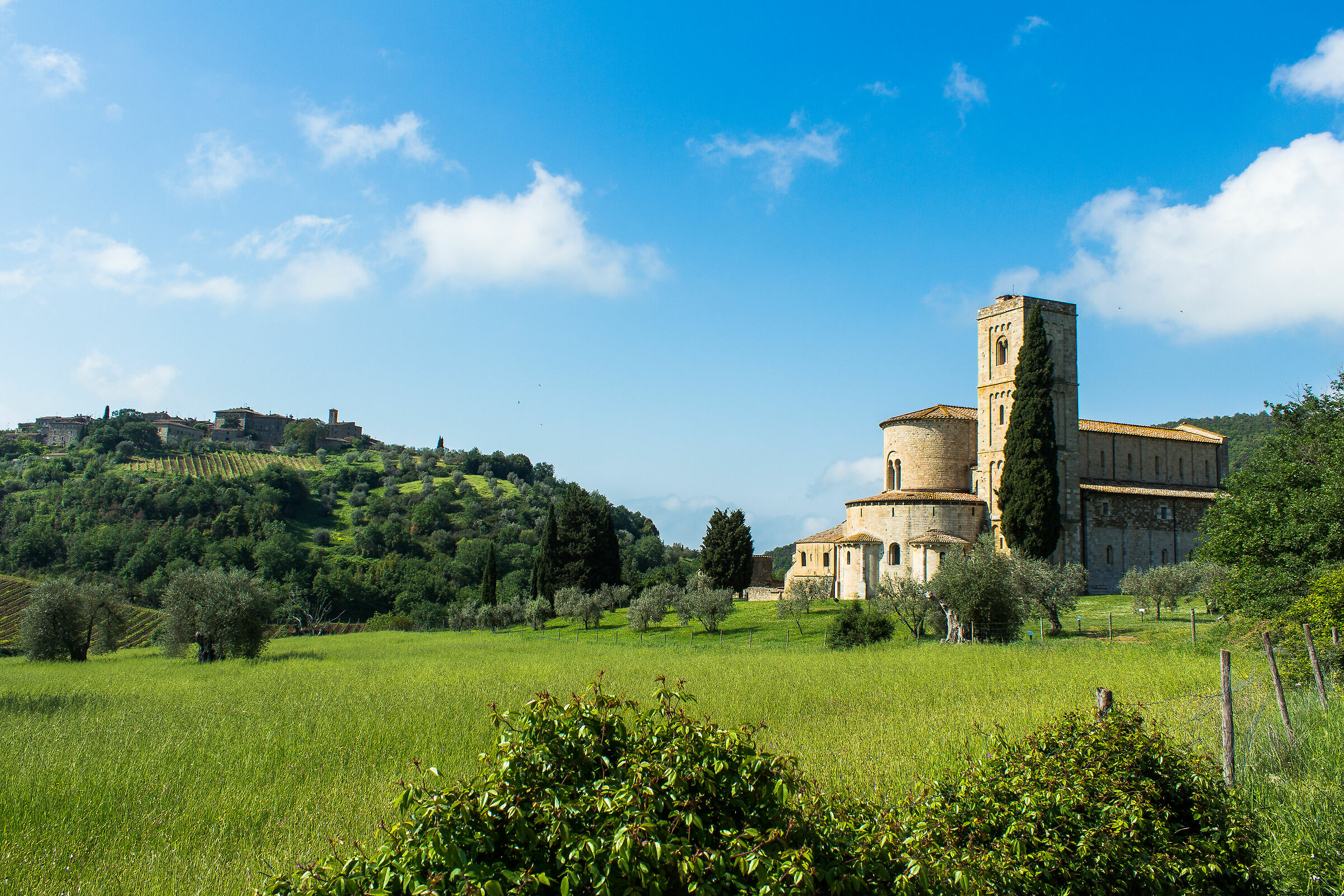 Ricordi in val D'Orcia