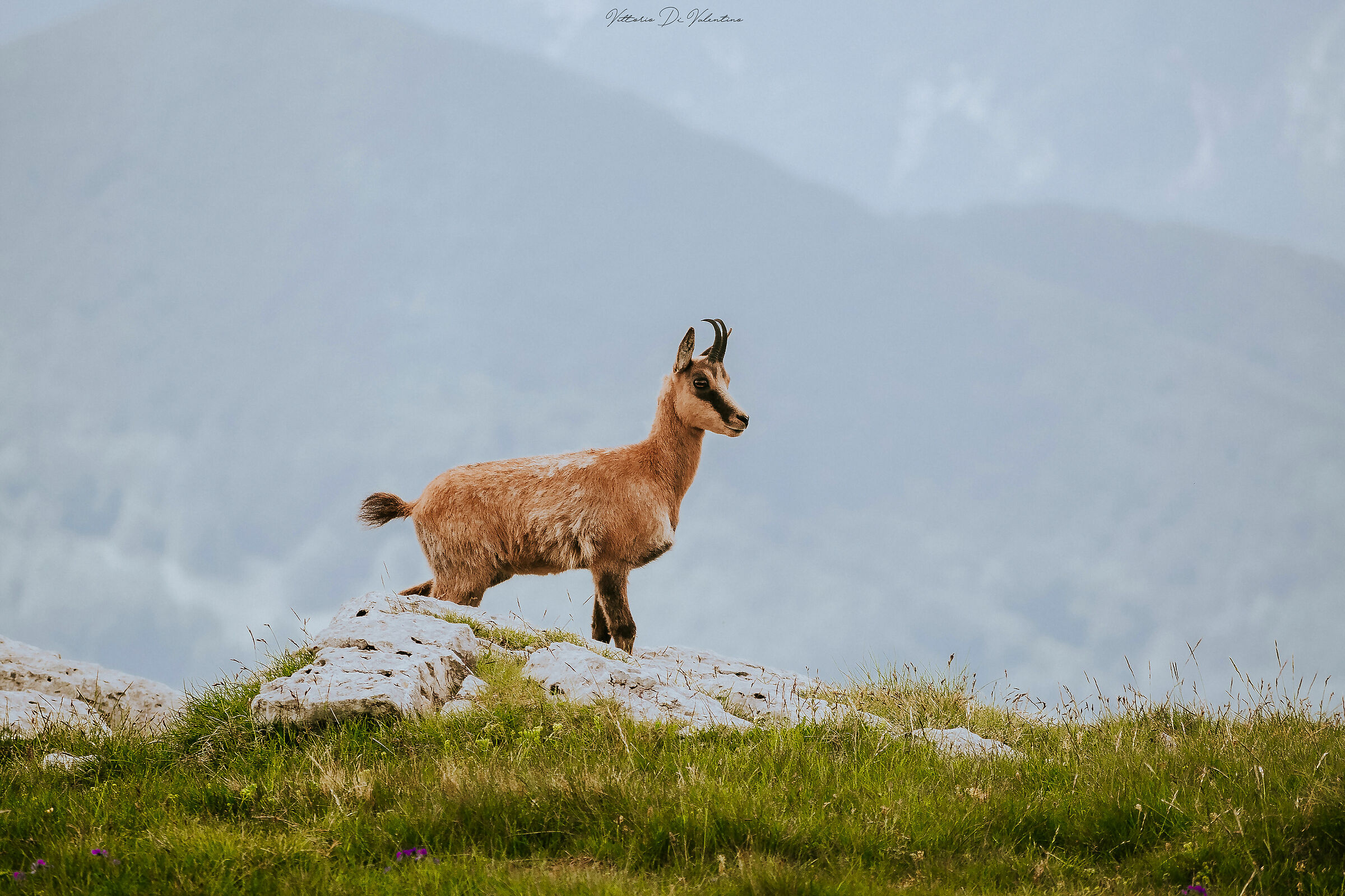 High-altitude meetings