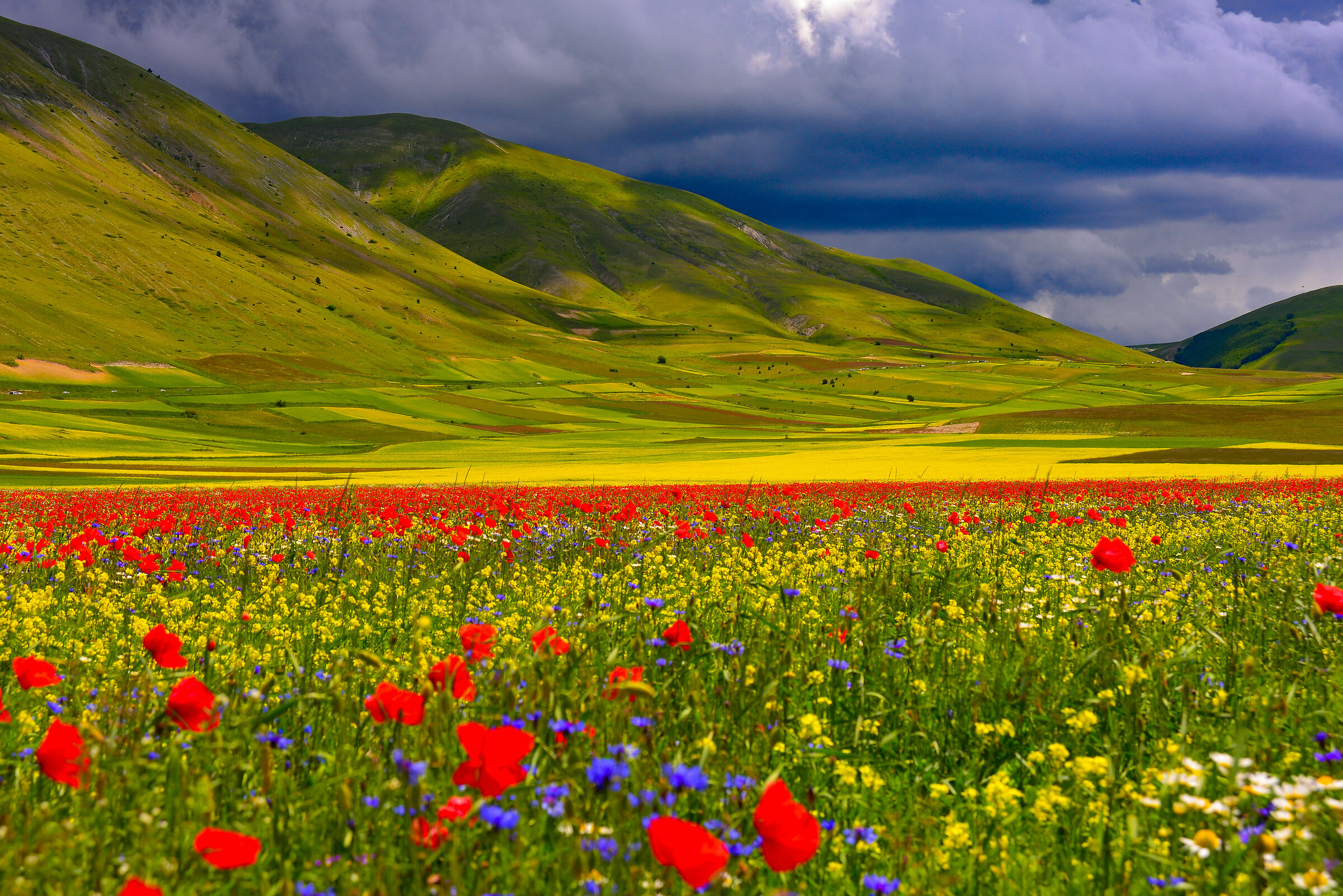 Castelluccio