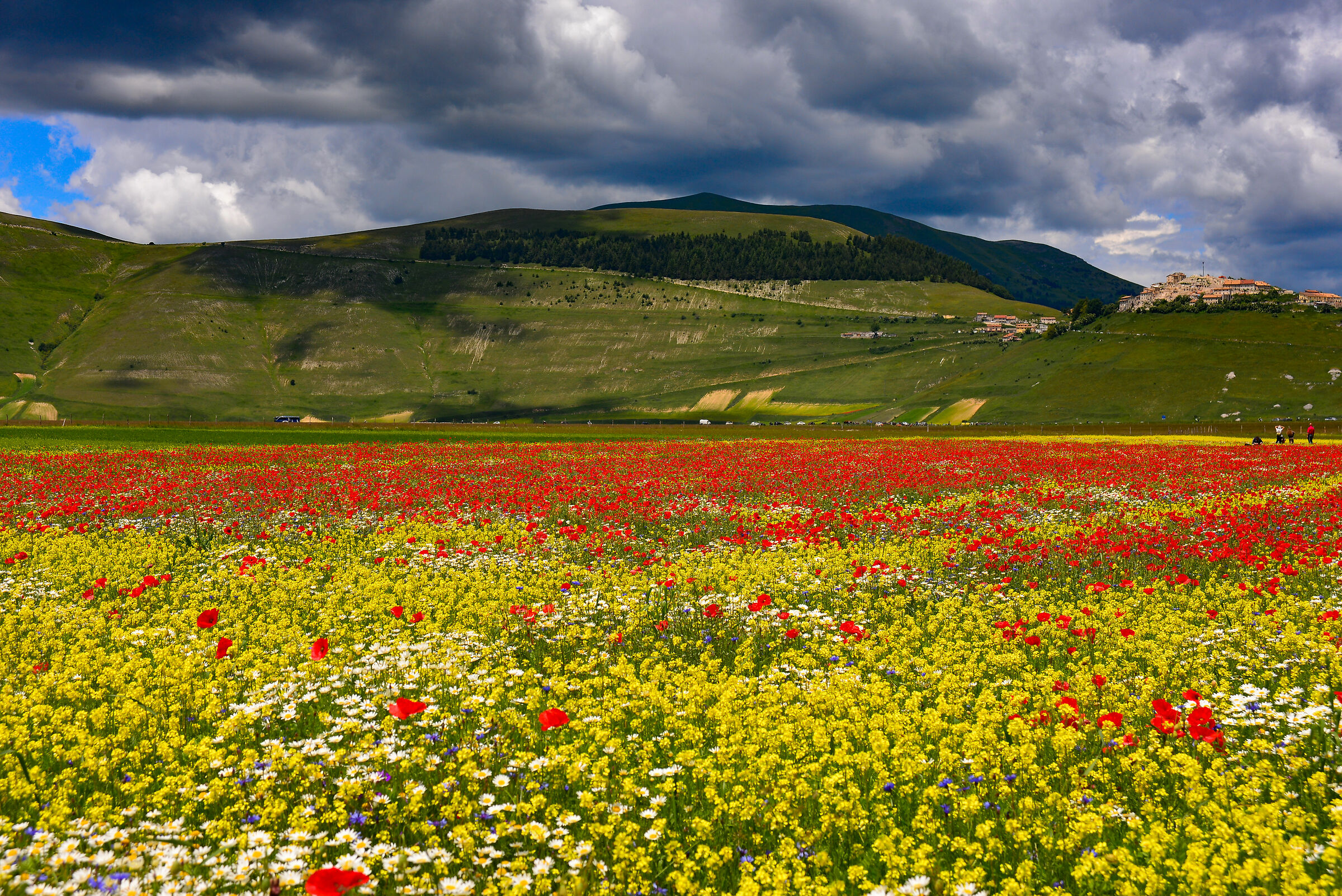 Castelluccio