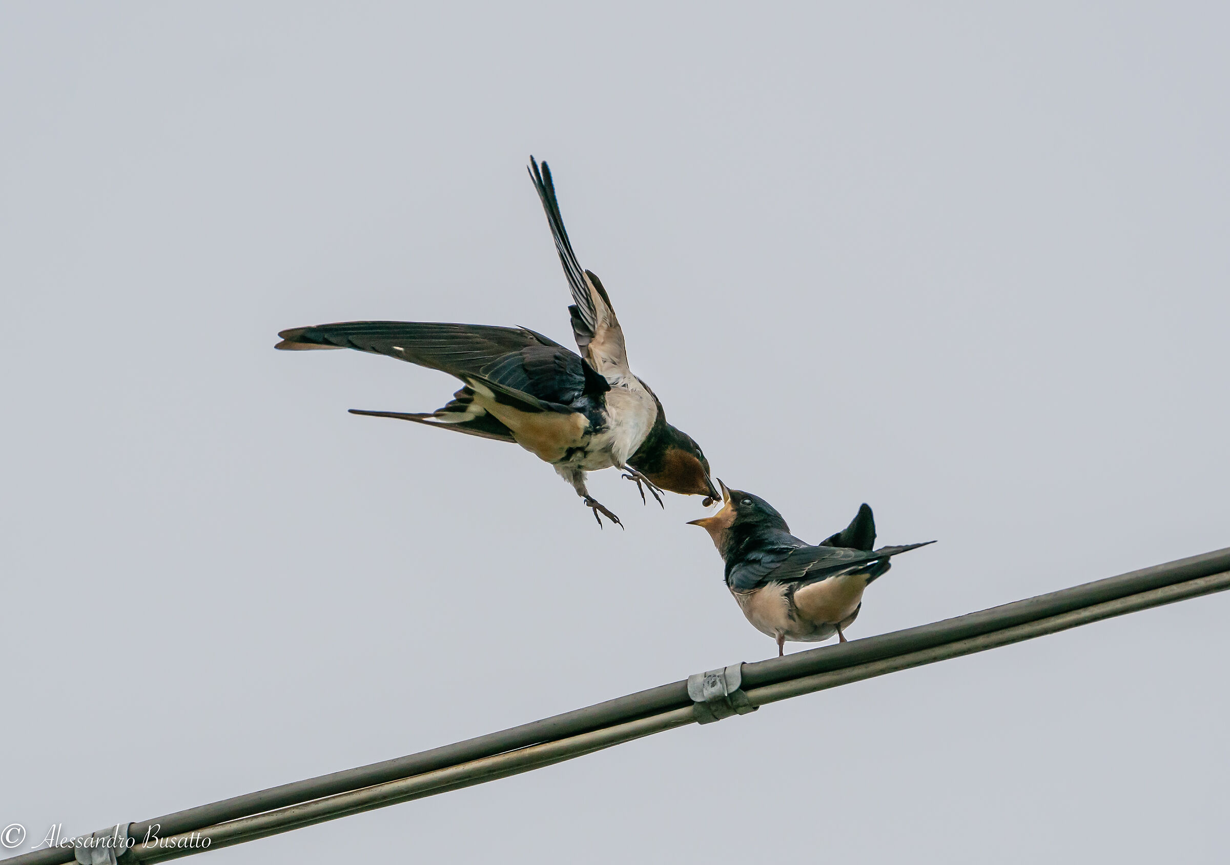 Rifornimento al volo