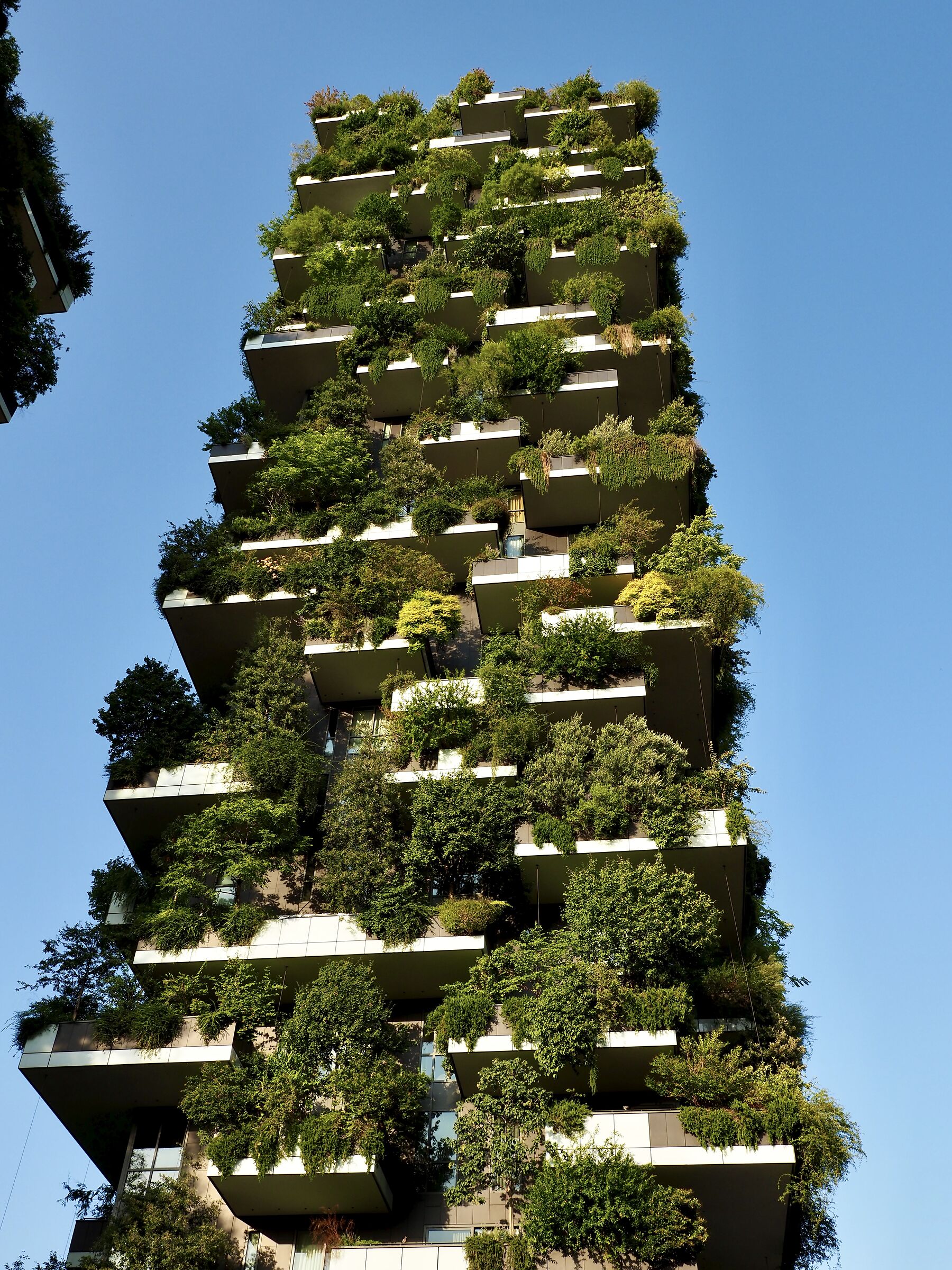 La bellezza del Bosco Verticale