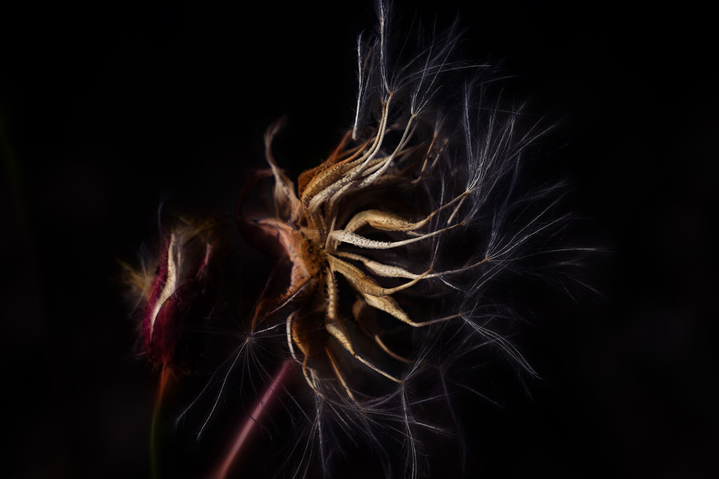 Untitled Photo