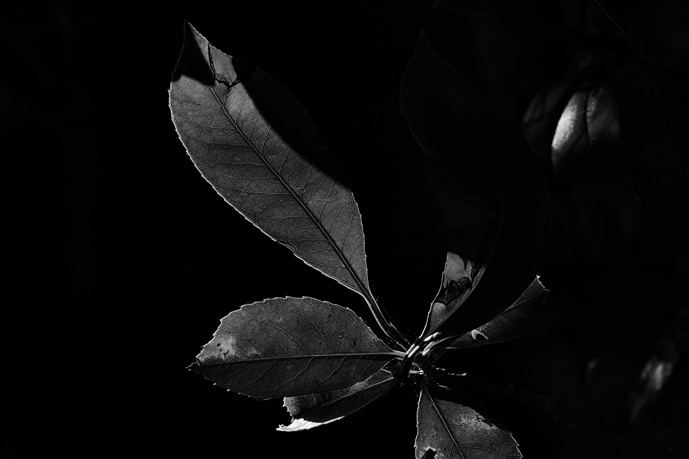 Untitled Photo
