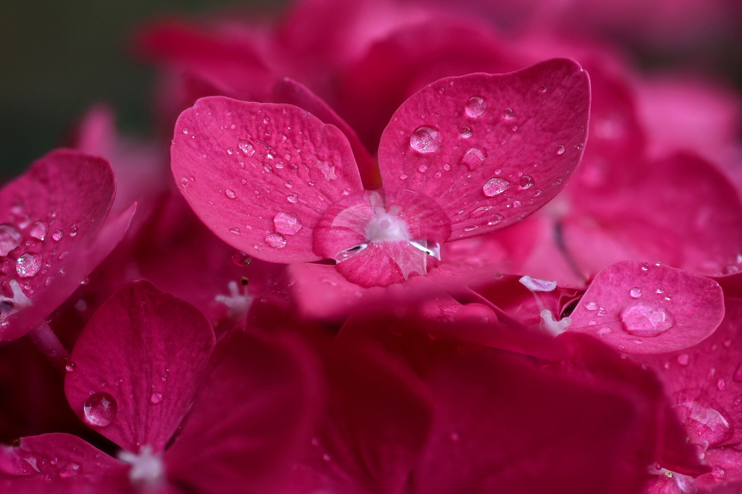 Untitled Photo
