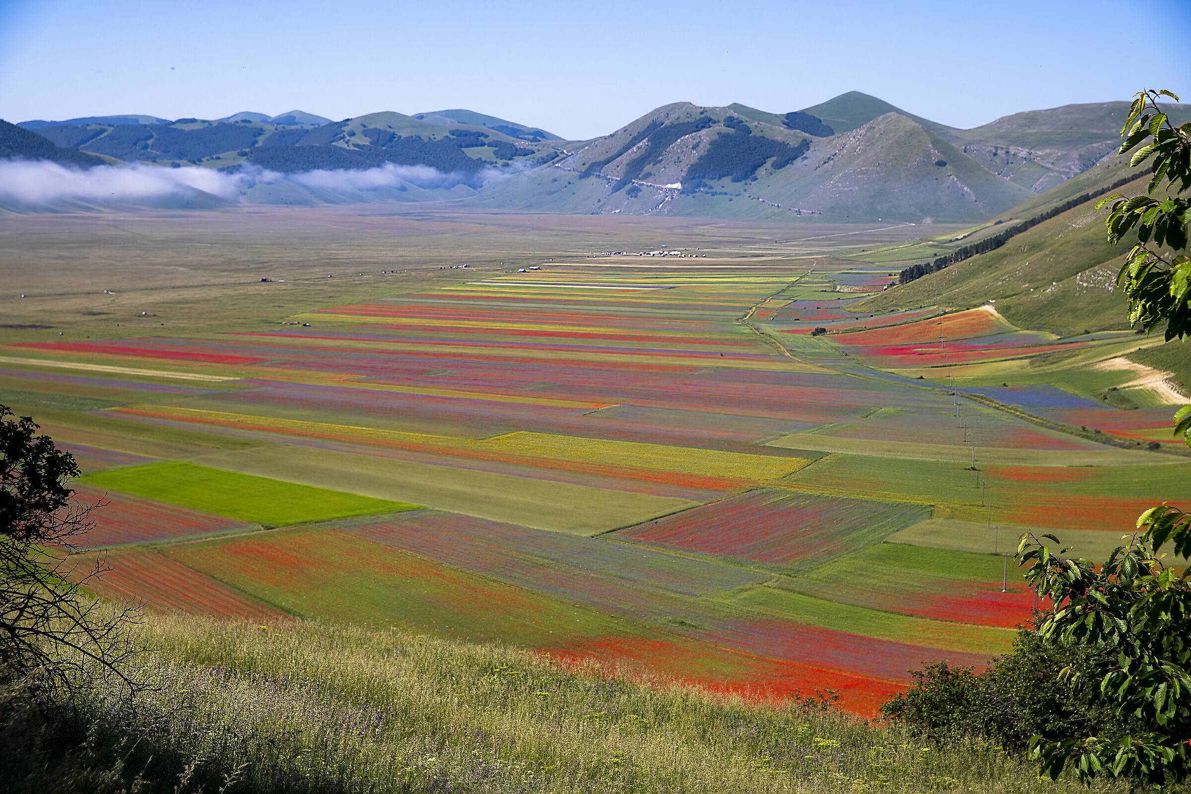 Castelluccio di Norcia