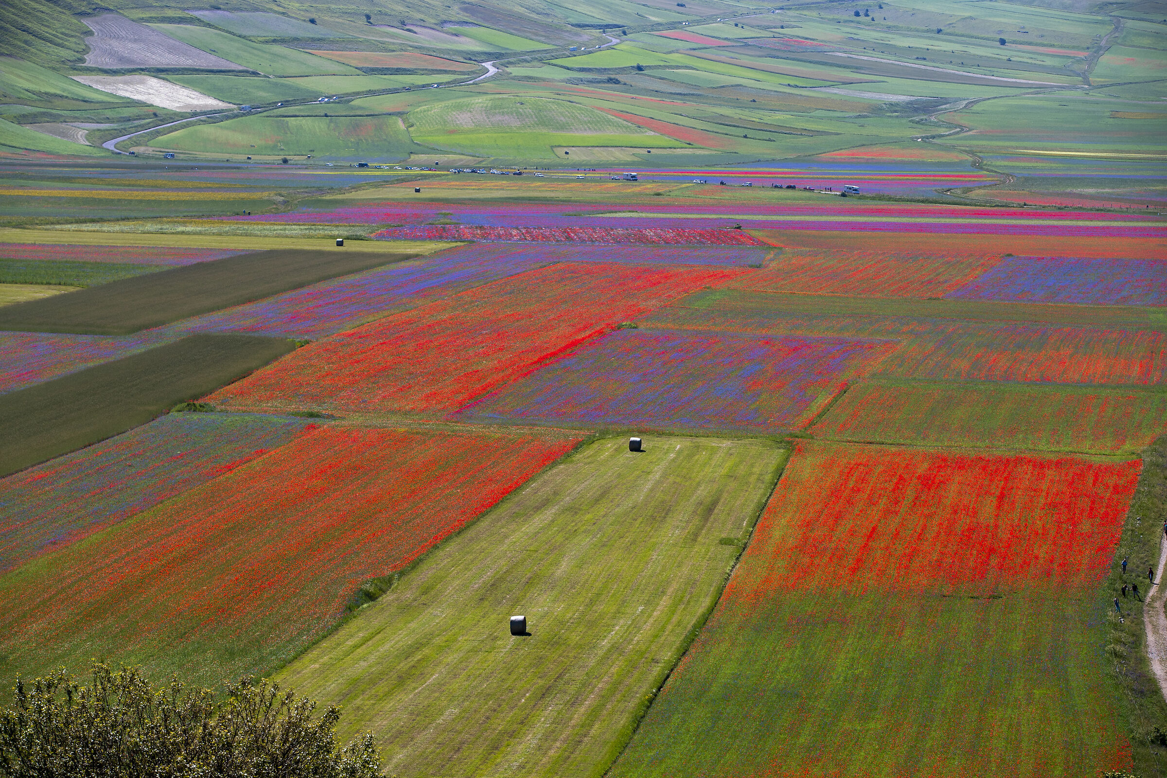 Castelluccio di Norcia 2