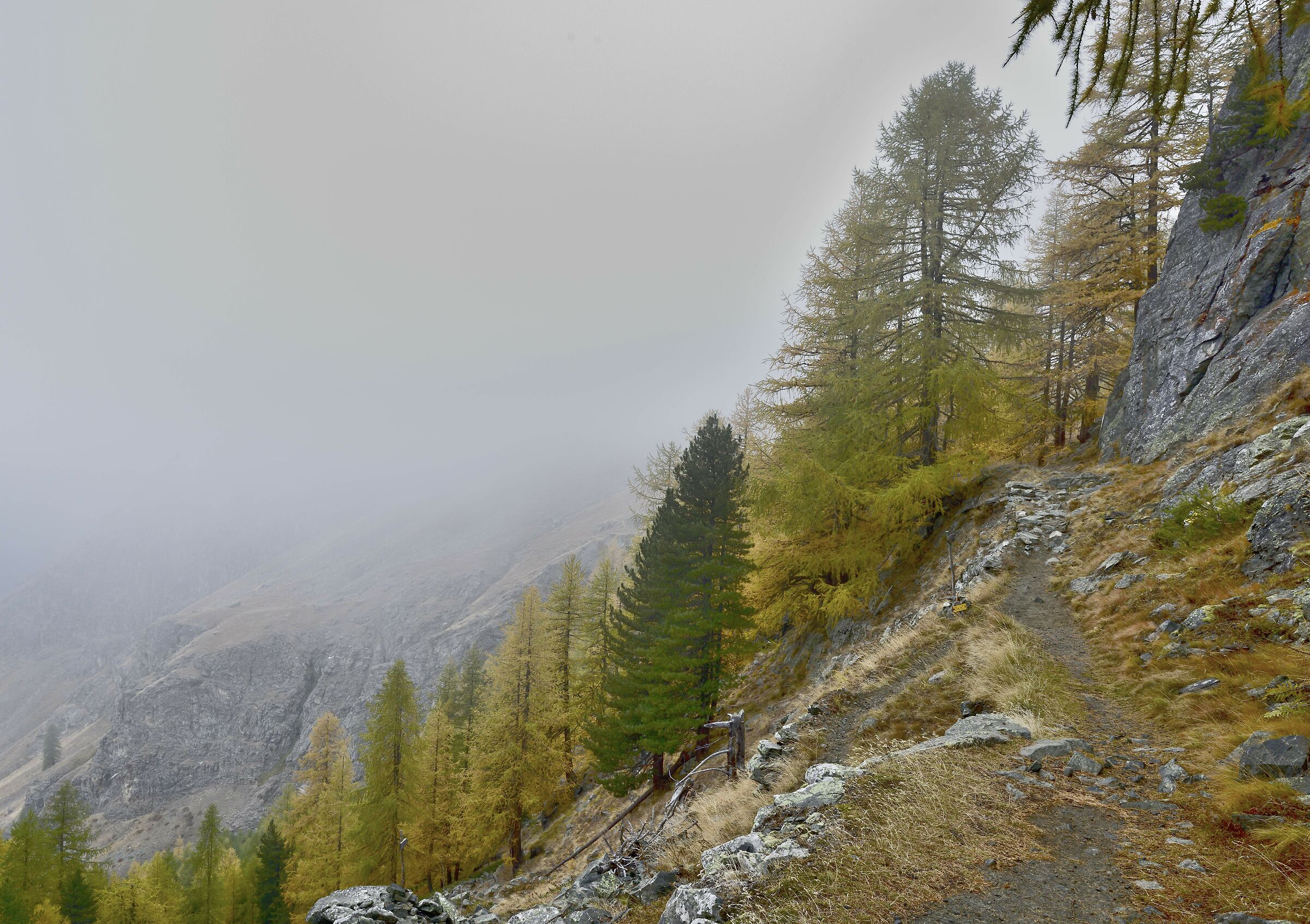 siamo ad un bivio. in basso a sin si scende a Tigne