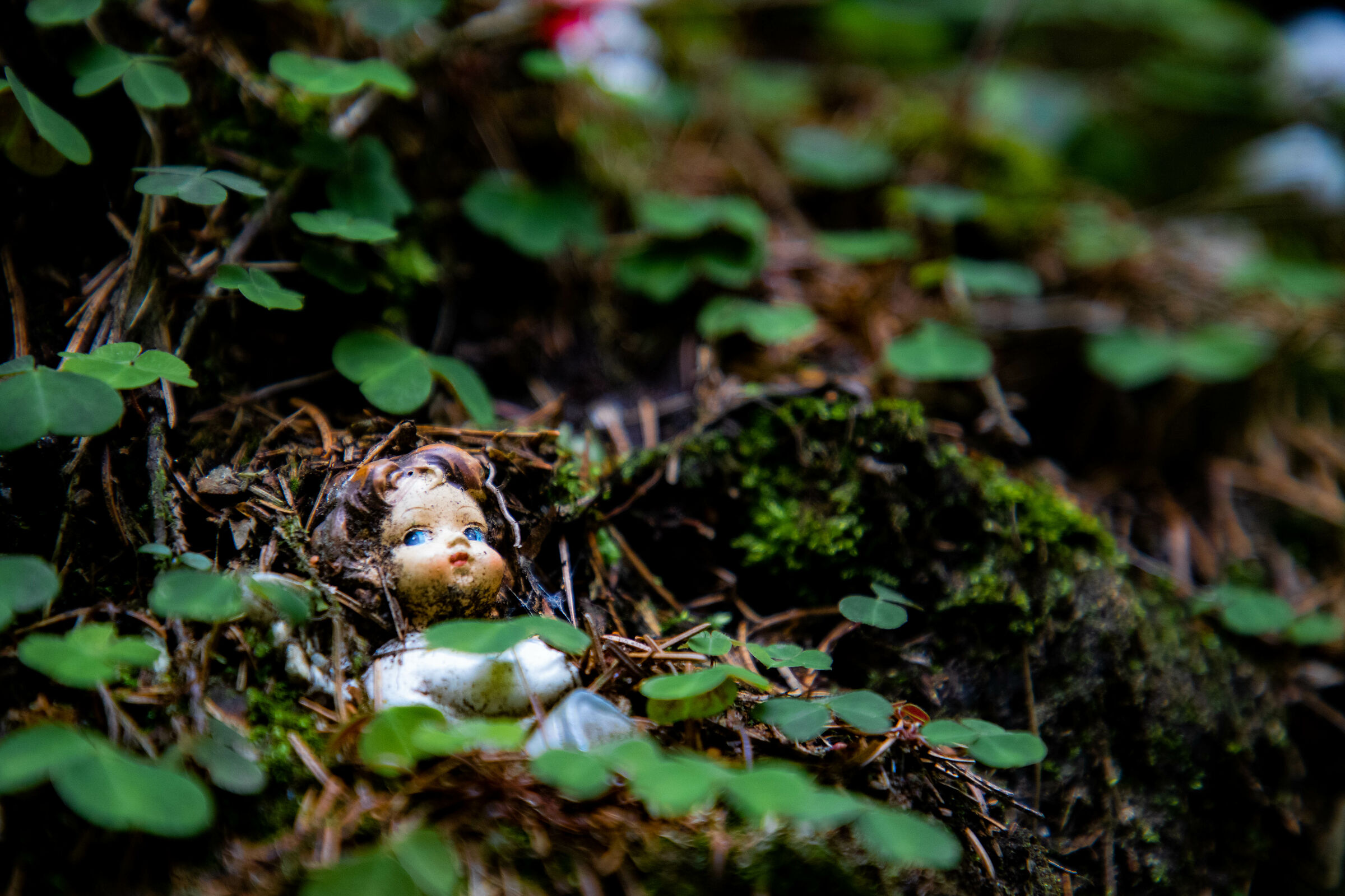 Nessuno sa dove si trovino gli angeli...