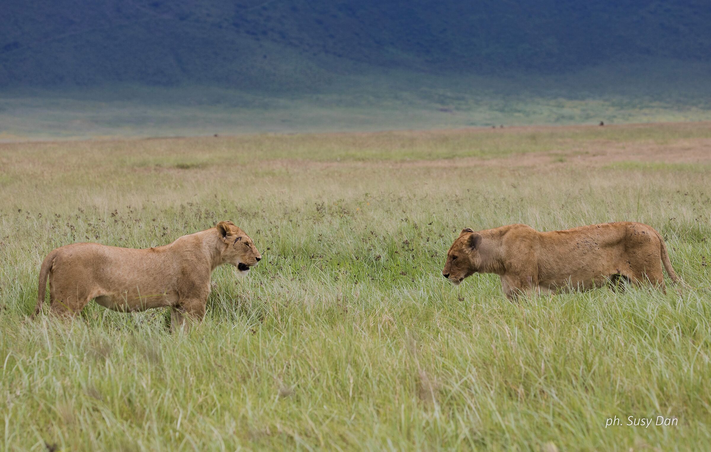 Appuntamento tra signore