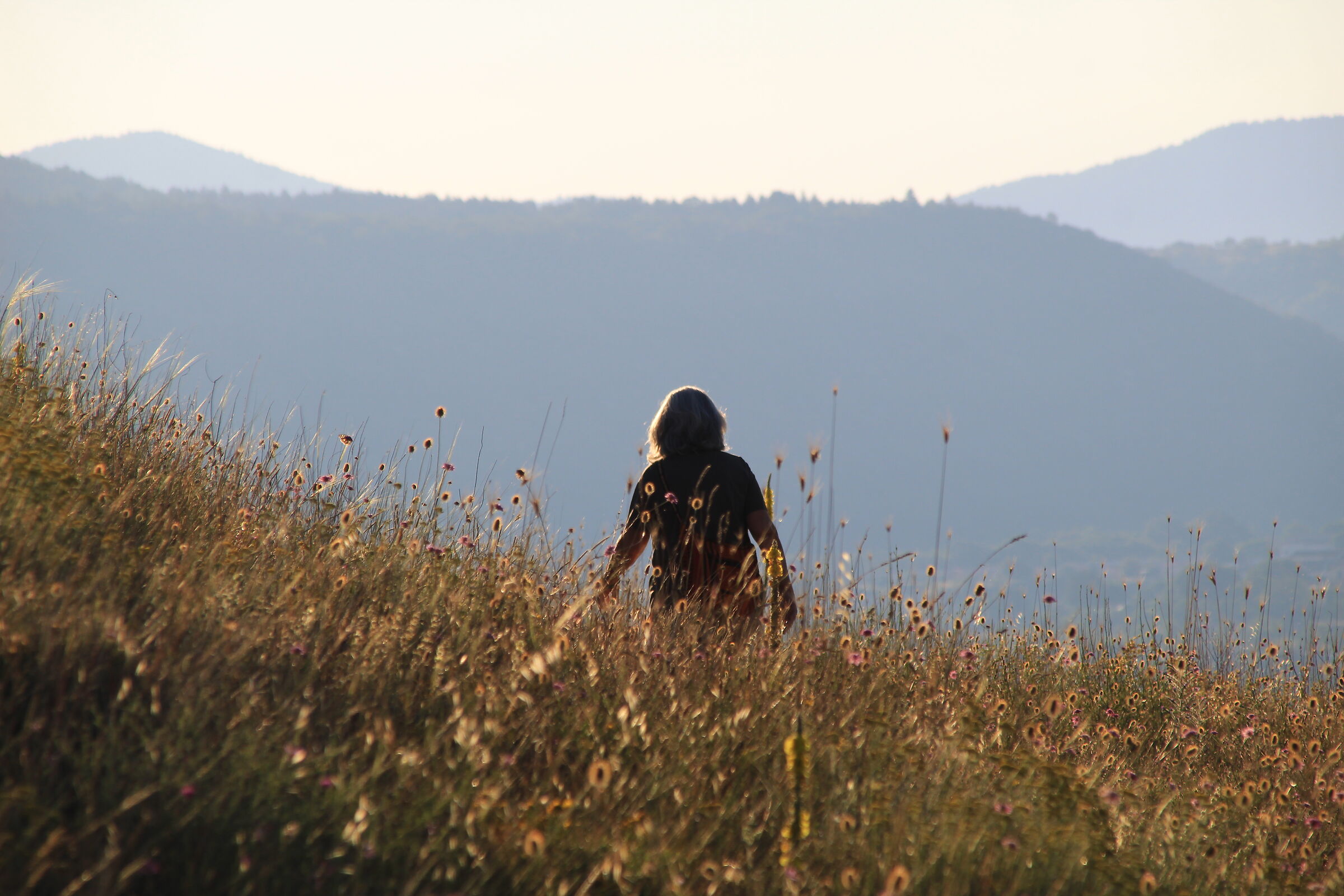 Passeggiata mattutina