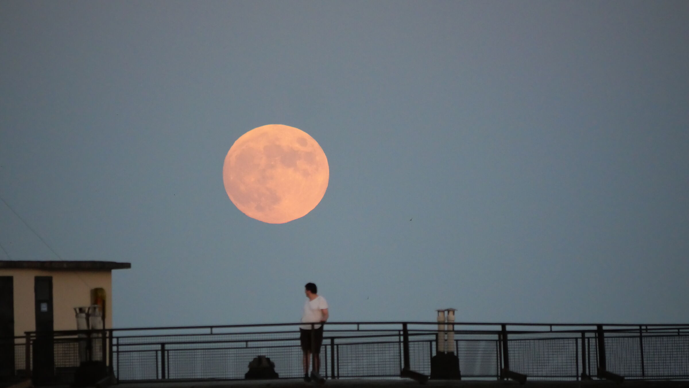 Ciao Luna, sei arrivata