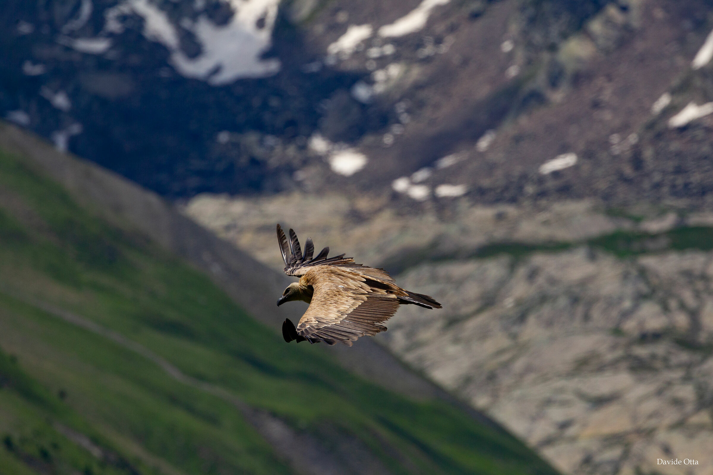 "galleggiando" in aria