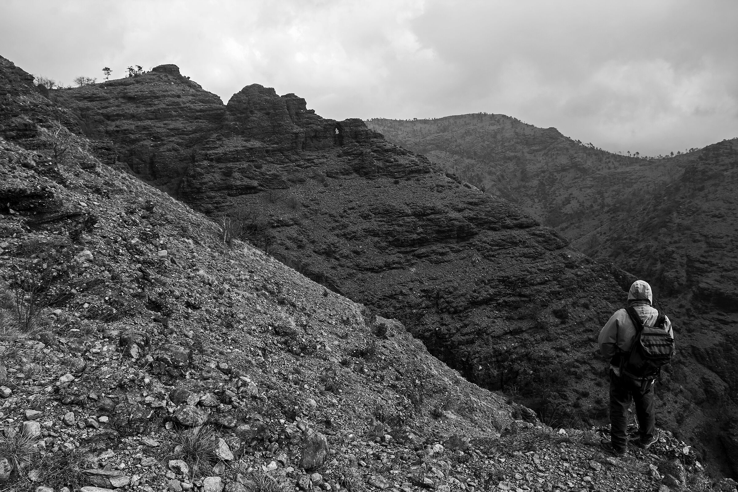 Contemplando il canyon