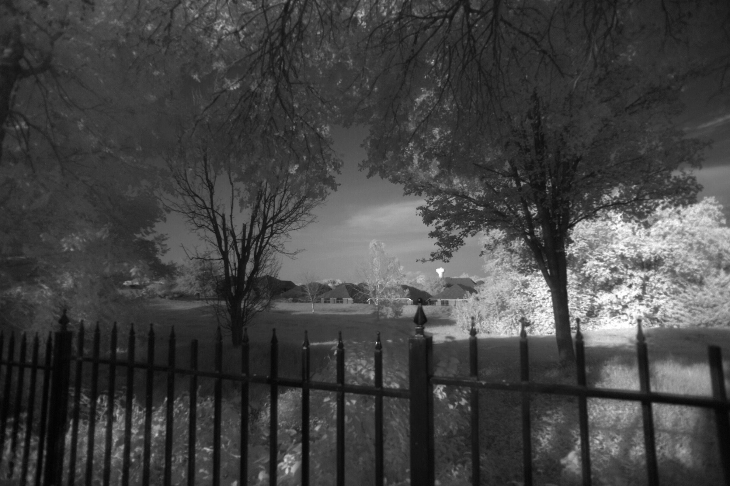 Fairway  in Infrared