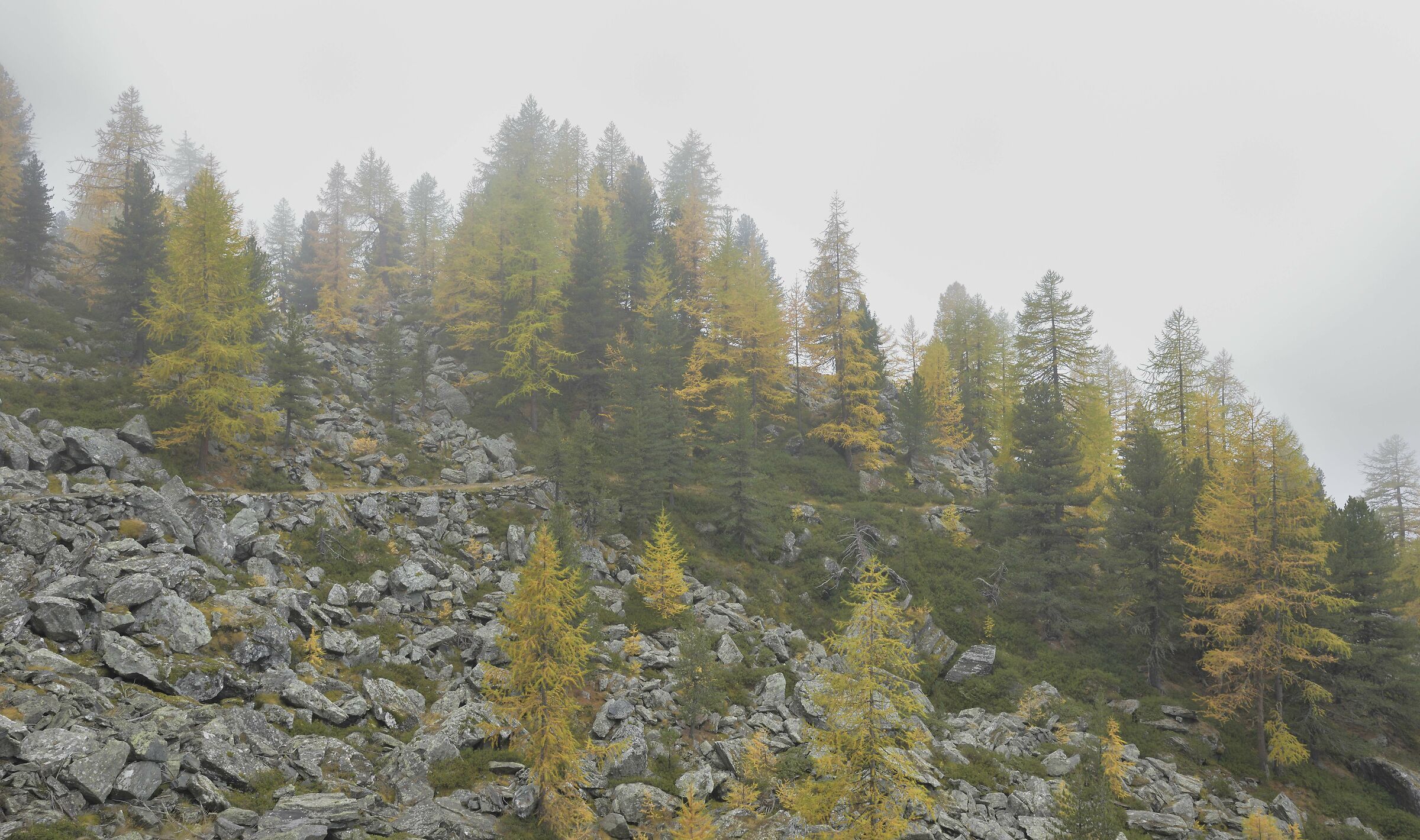 si scende lungo il sentiero da Levionaz inf.