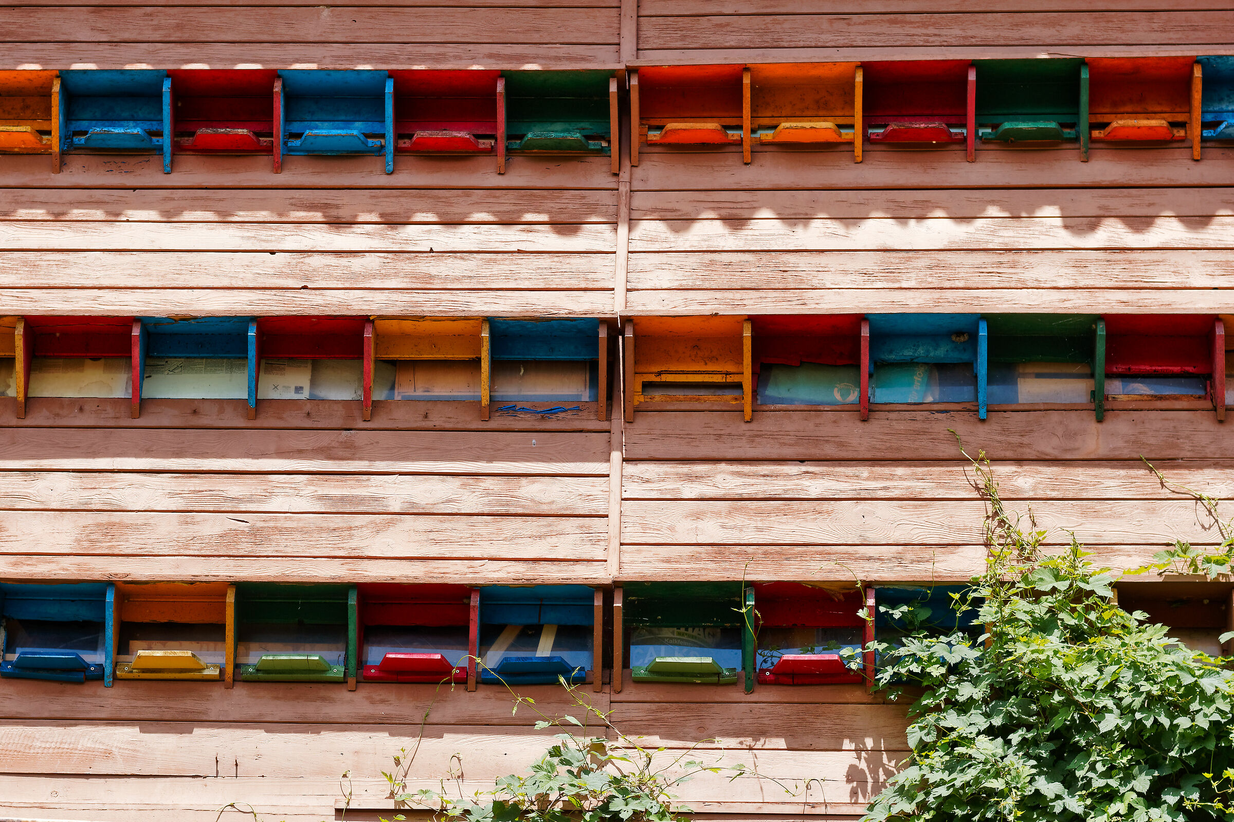 Condominio per Api