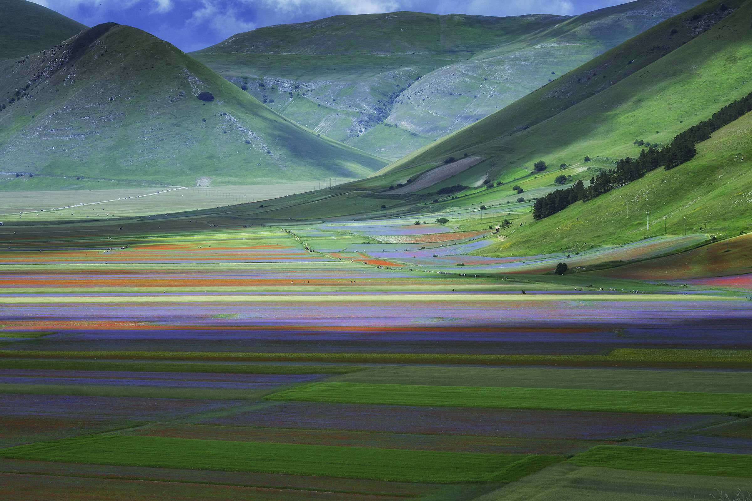 Castelluccio di Norcia 4 Luglio 2020