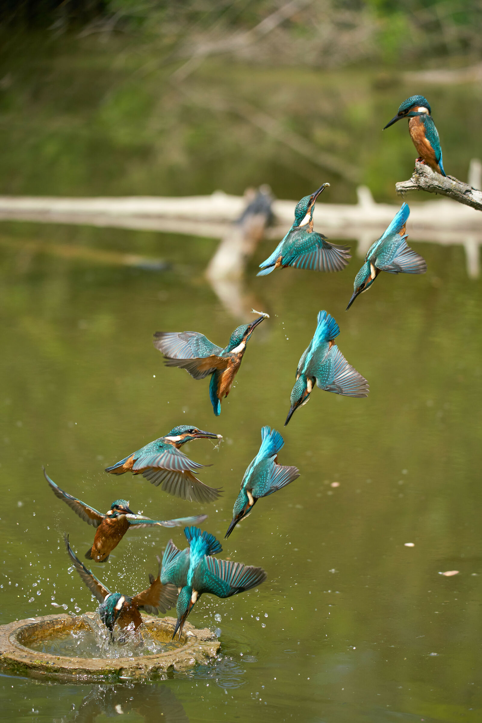 fishing