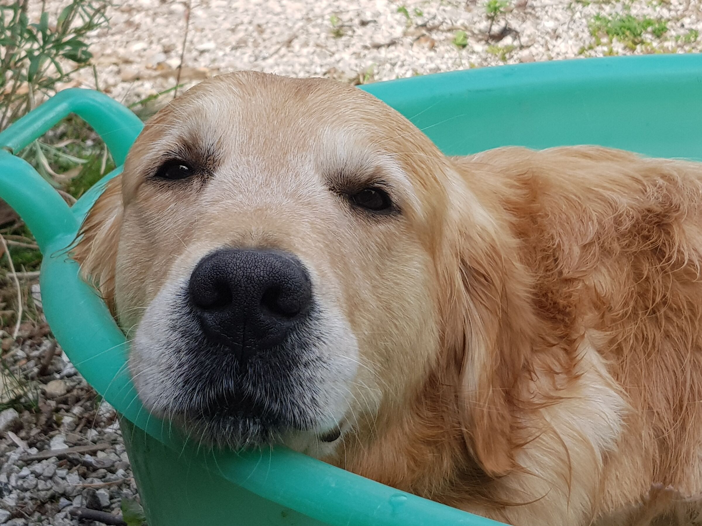 Sweet do nothing ... soaking!