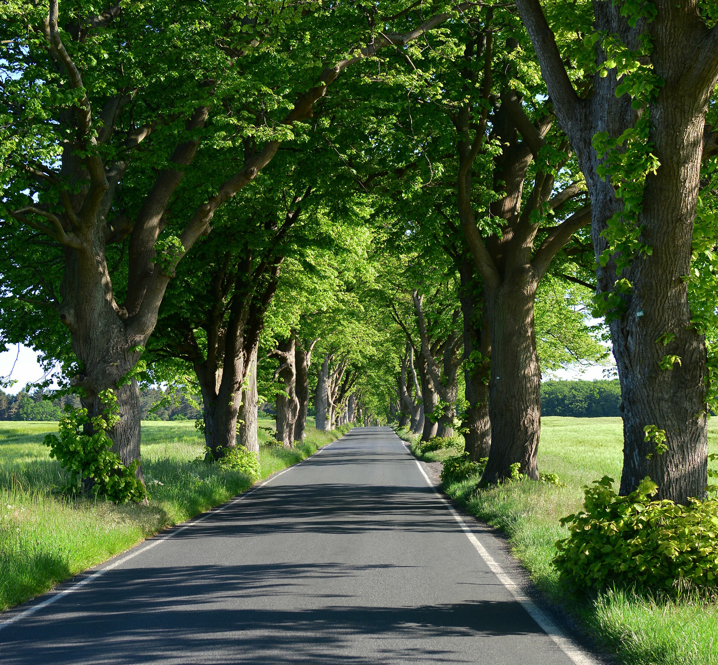 Isle Rügen Eastsea Germany