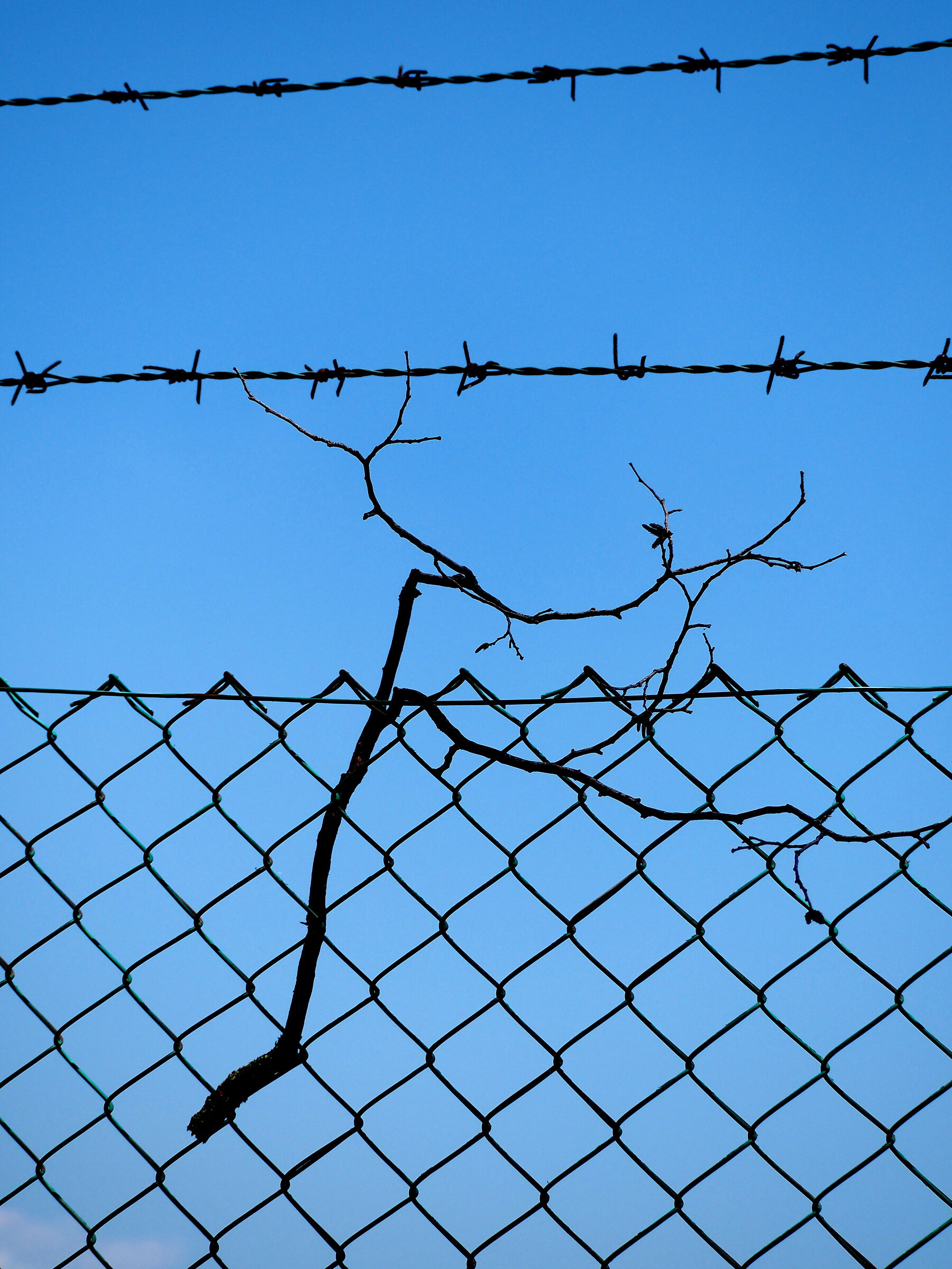 Fragility